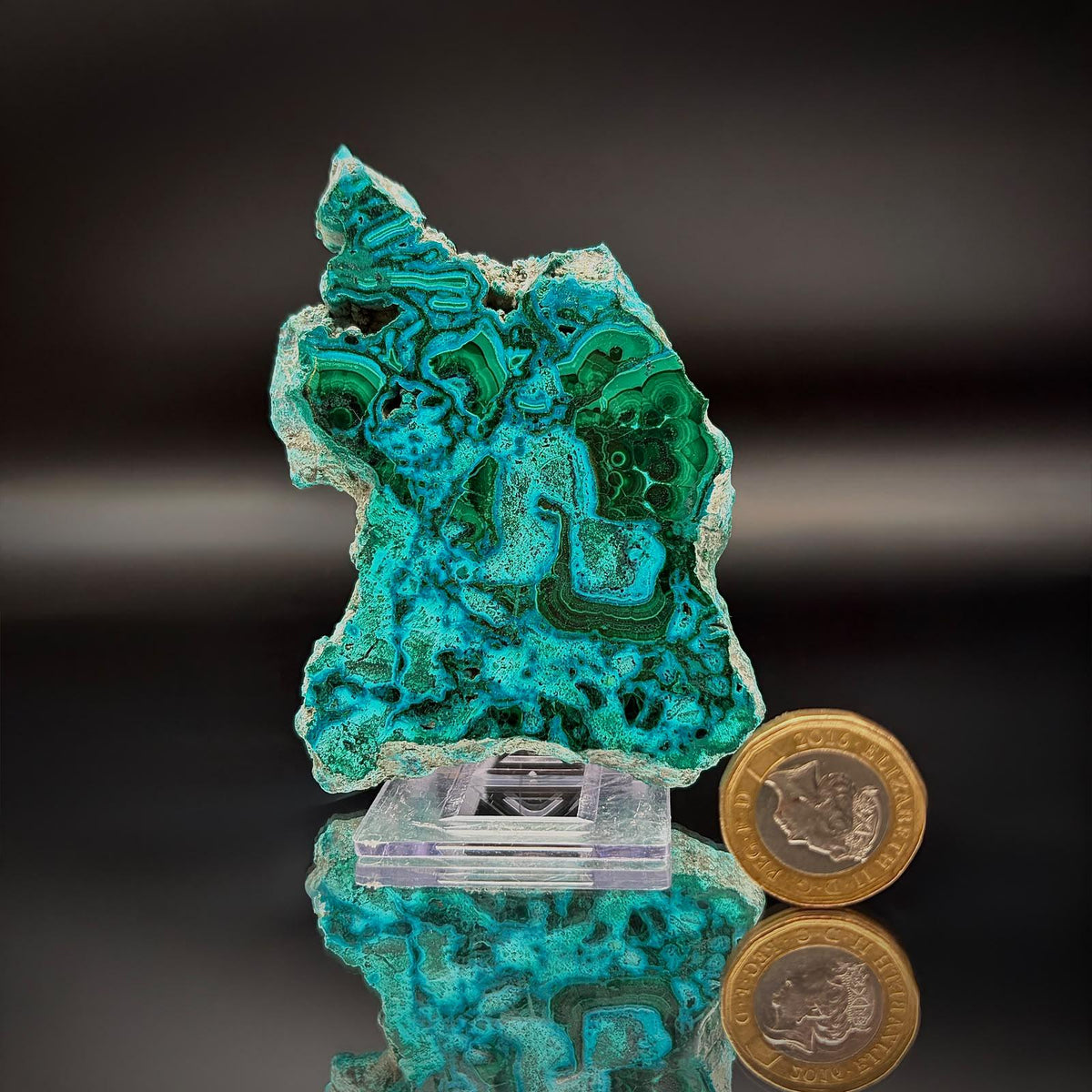 Polished Malacolla Collector Slice | Malachite with Chrysocolla | 86g #2