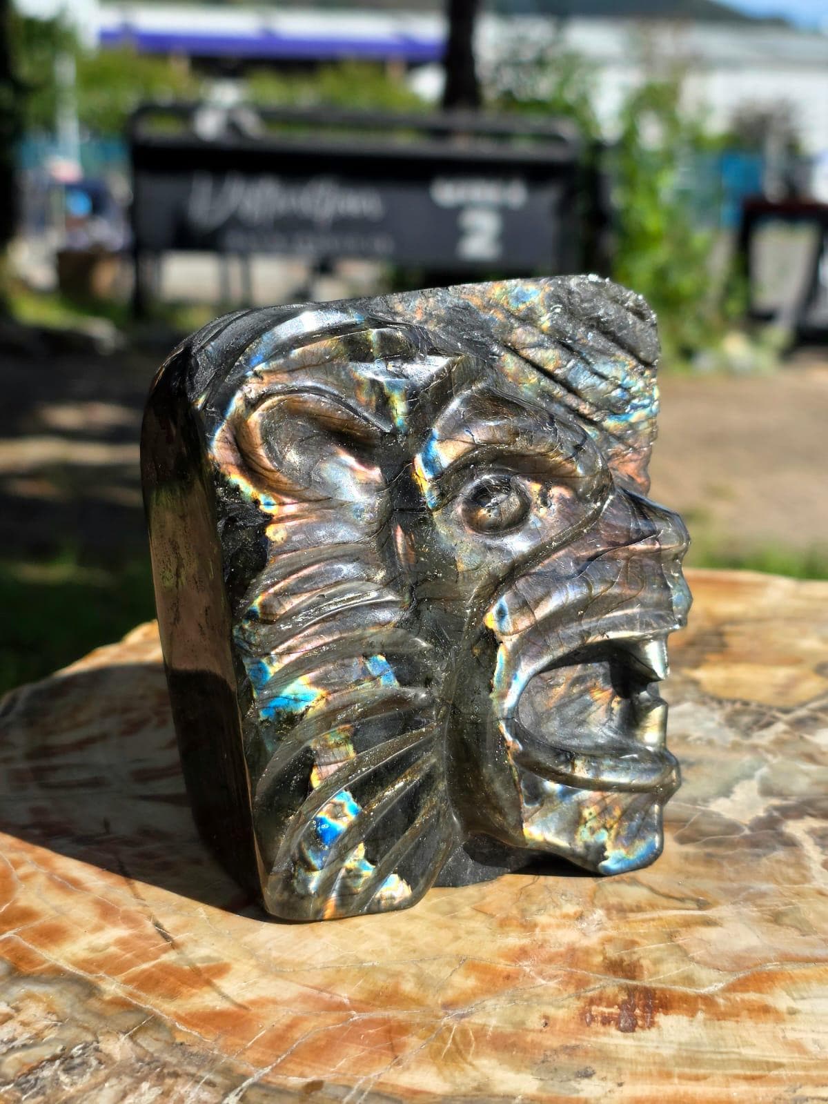 Rainbow Labradorite Lion Crystal Carving Freeform | 1.16kg