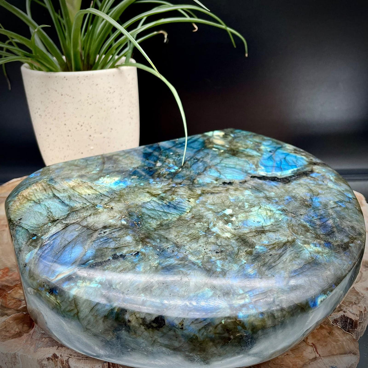 XL Labradorite Crystal Freeform 5.89kg | Polished Display Stone #91