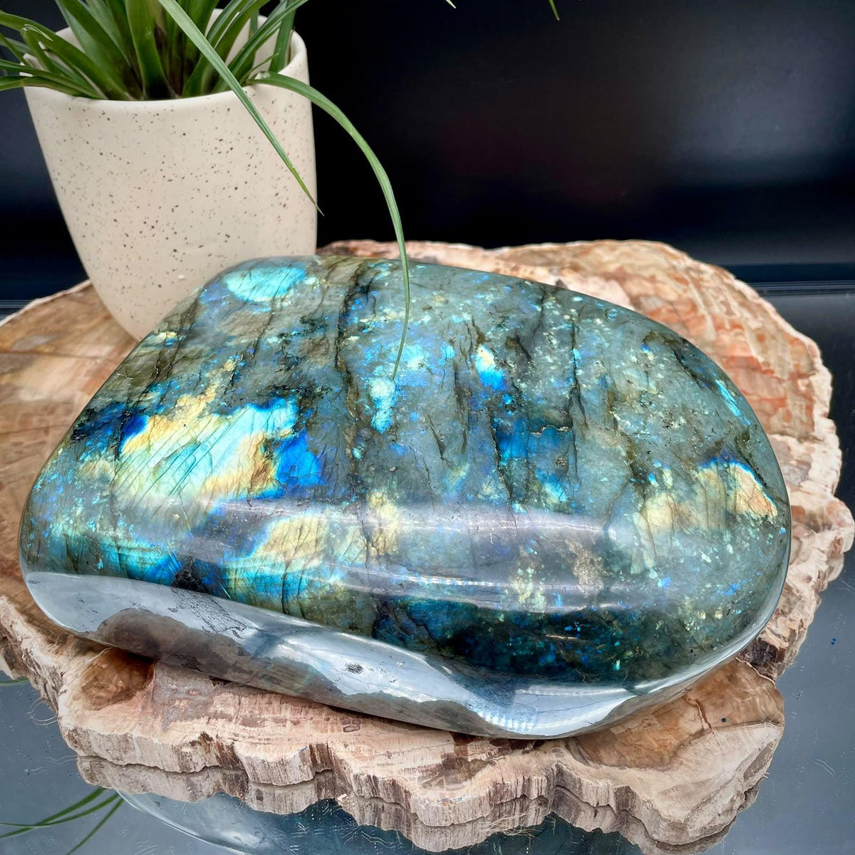 XL Labradorite Crystal Freeform 5.34kg | Polished Display Stone #90