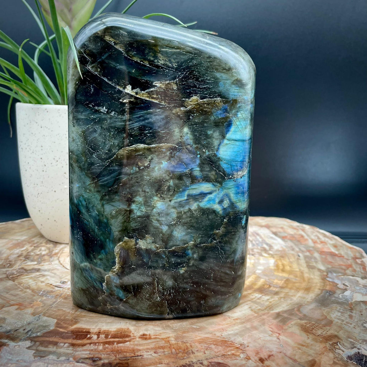 Labradorite Crystal Freeform 2.14kg | Polished Display Stone #13
