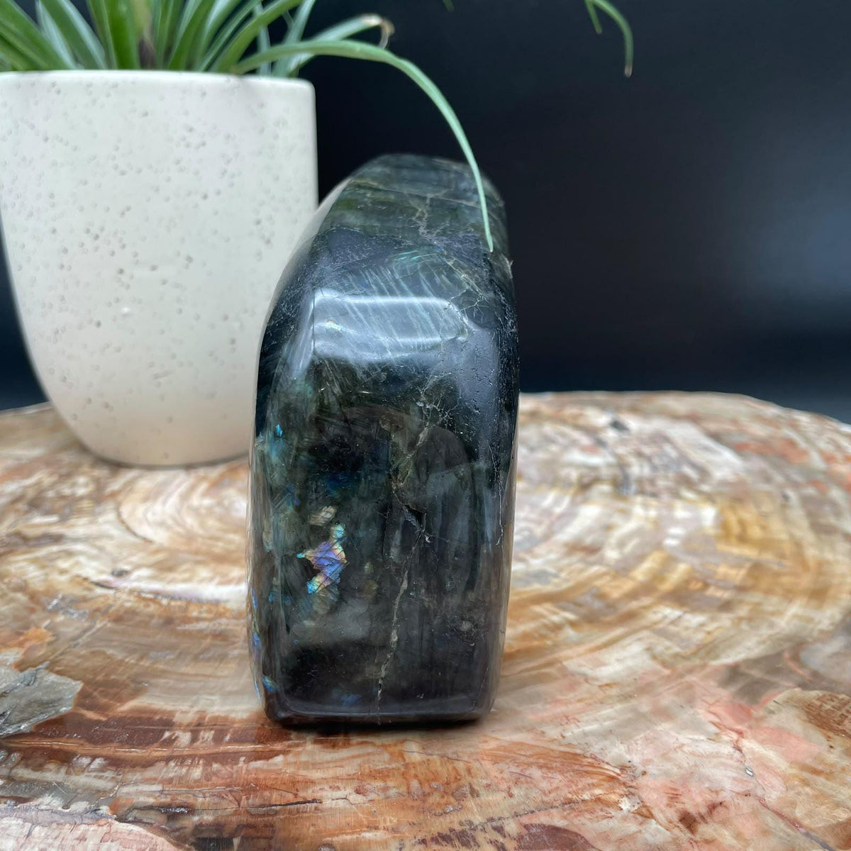 Labradorite Crystal Freeform 1.52kg | Polished Display Stone #5