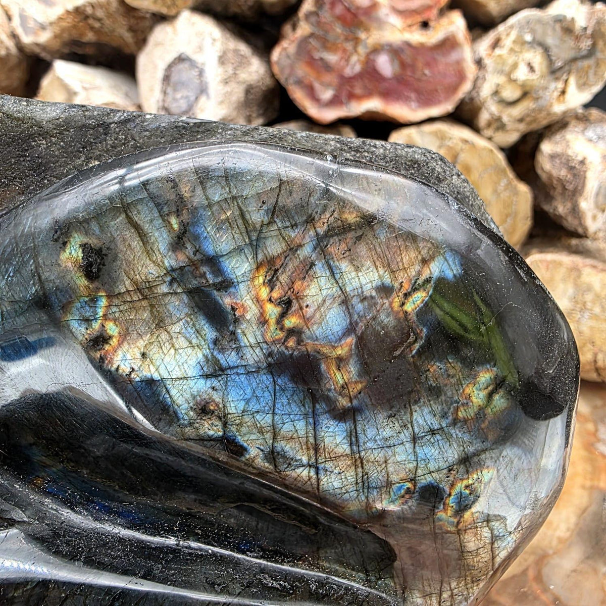 Labradorite Skull Freeform Crystal Carving | 1.8kg Unique Home Decor