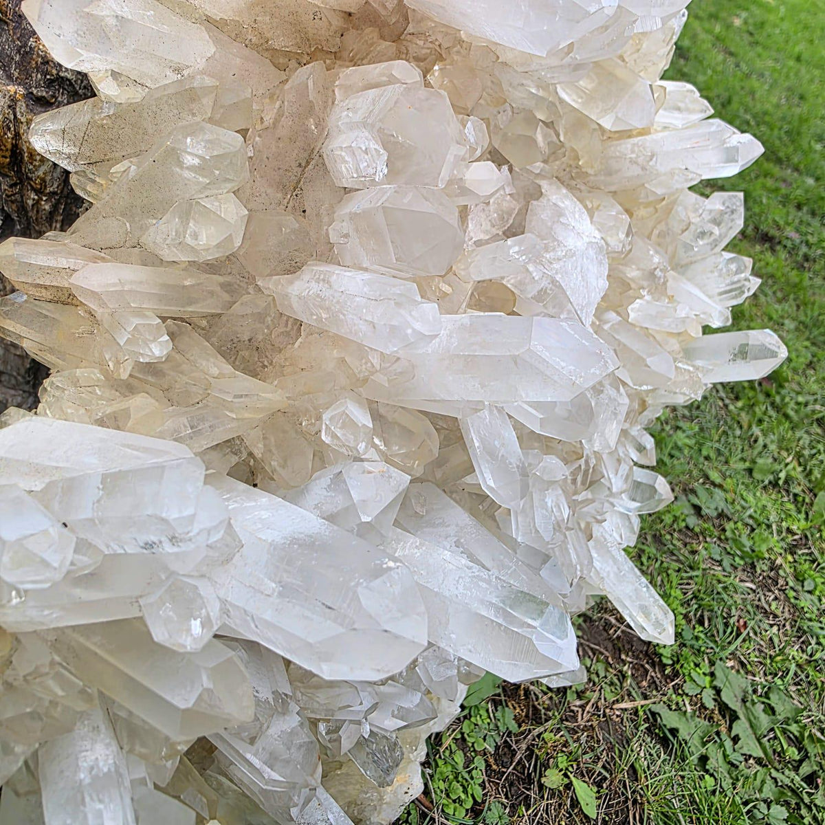 XL Clear Quartz Crystal Cluster | 10.3kg | Large Statement Crystal Home Decor