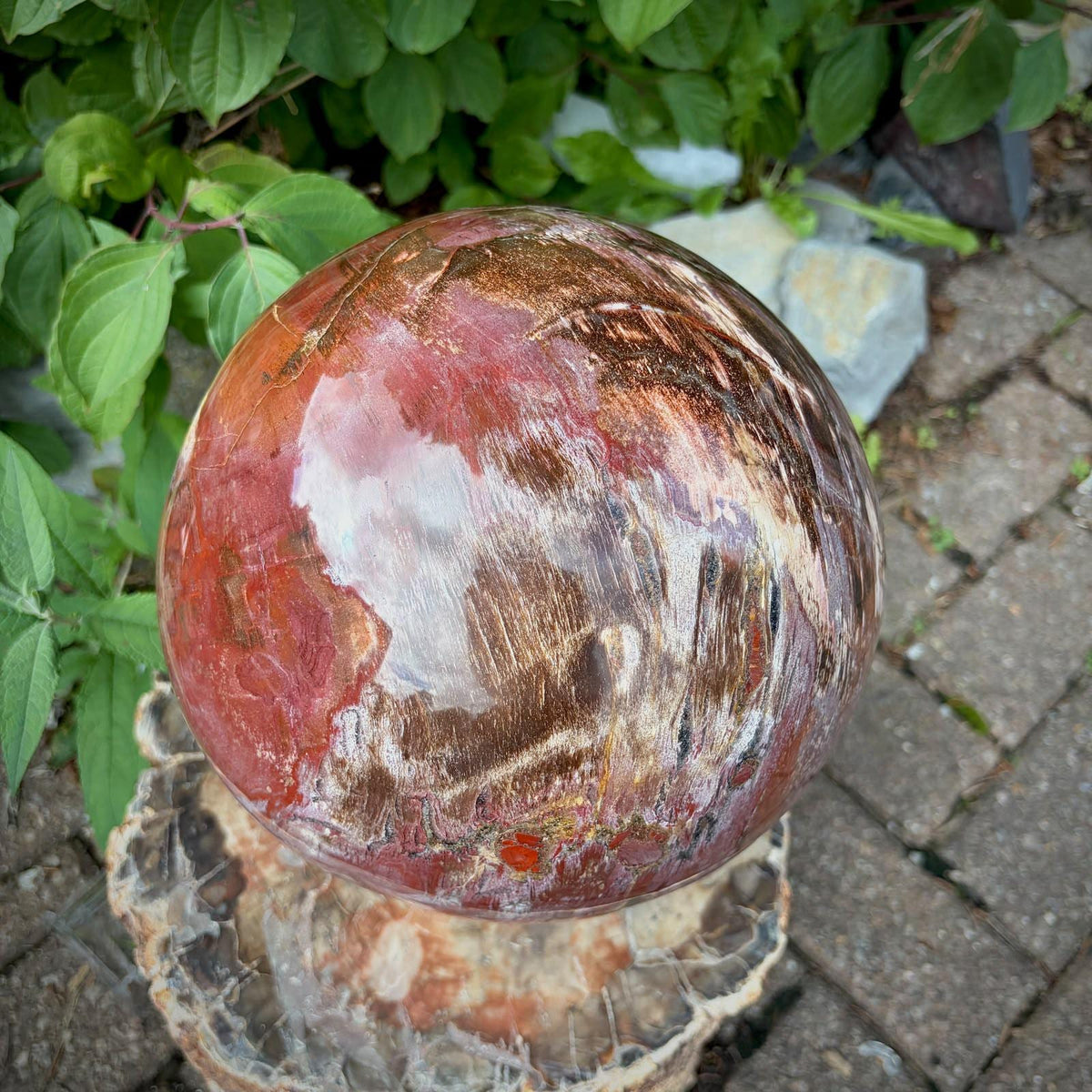 XL Petrified Wood Sphere | 14.48kg Red Fossil Wood | Statement Mineral Specimen