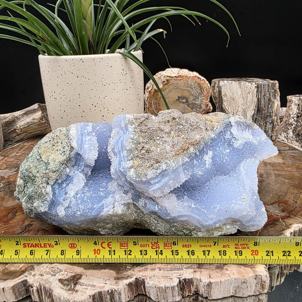 Large blue lace agate geode with druzy crystal hollow | raw natural crystal #15