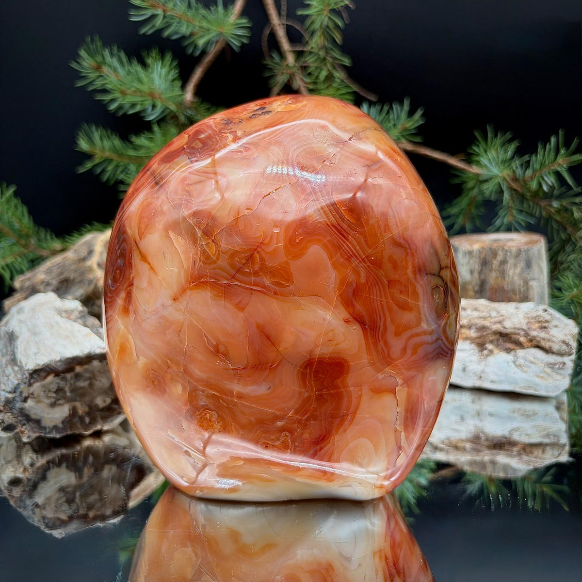 Large Carnelian Freeform | 3.16kg Polished Crystal | Natural Home Decor (#4)