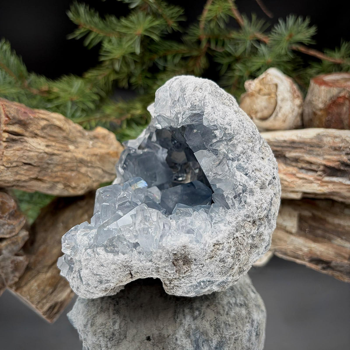 Celestite Geode Crystal Cluster | Large 1.93kg Blue Celestine | #44