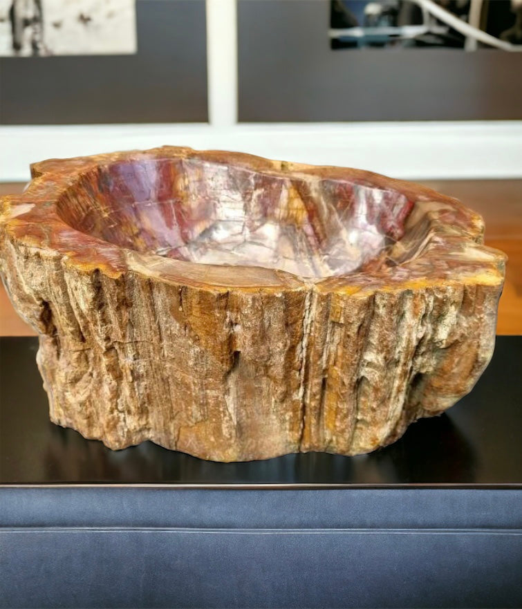 Extra Large Petrified Wood Bowl 35 KG Unique Home Decor Natural Art