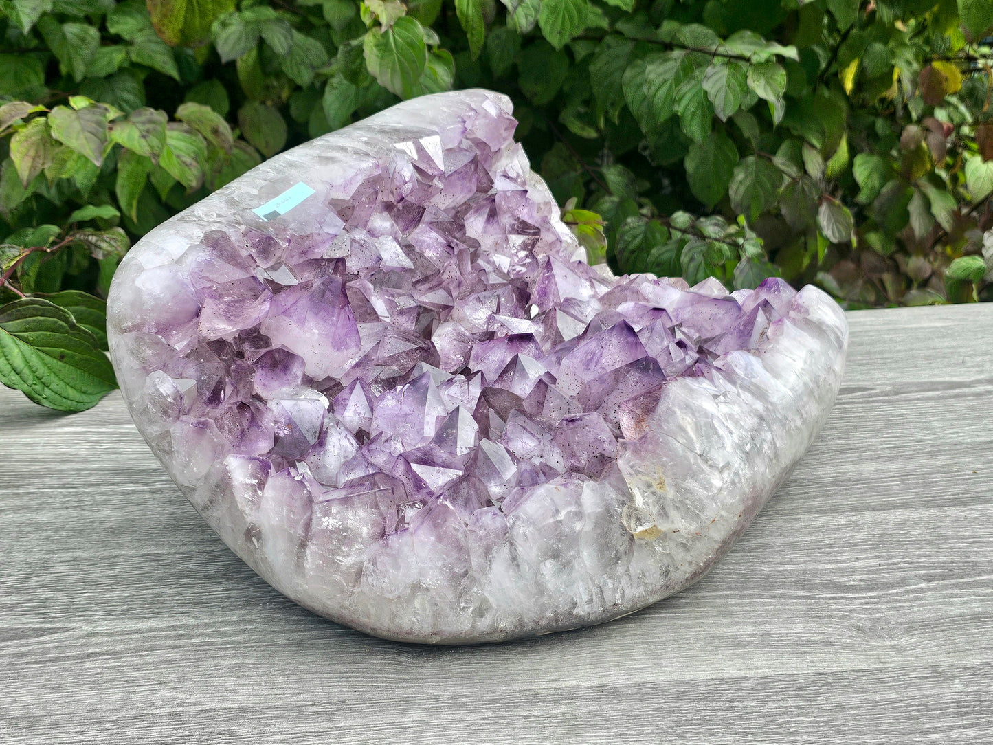 Large Brazilian  Amethyst Crystal Cluster