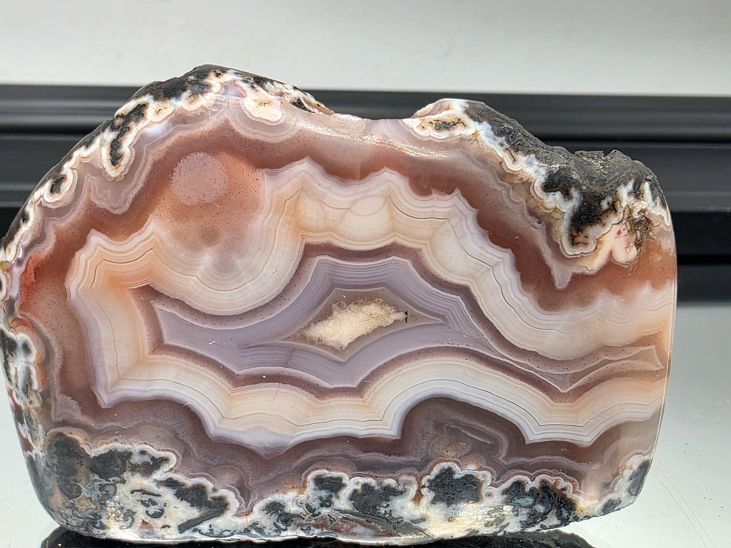Moroccan agate display slice with unique color zoning.