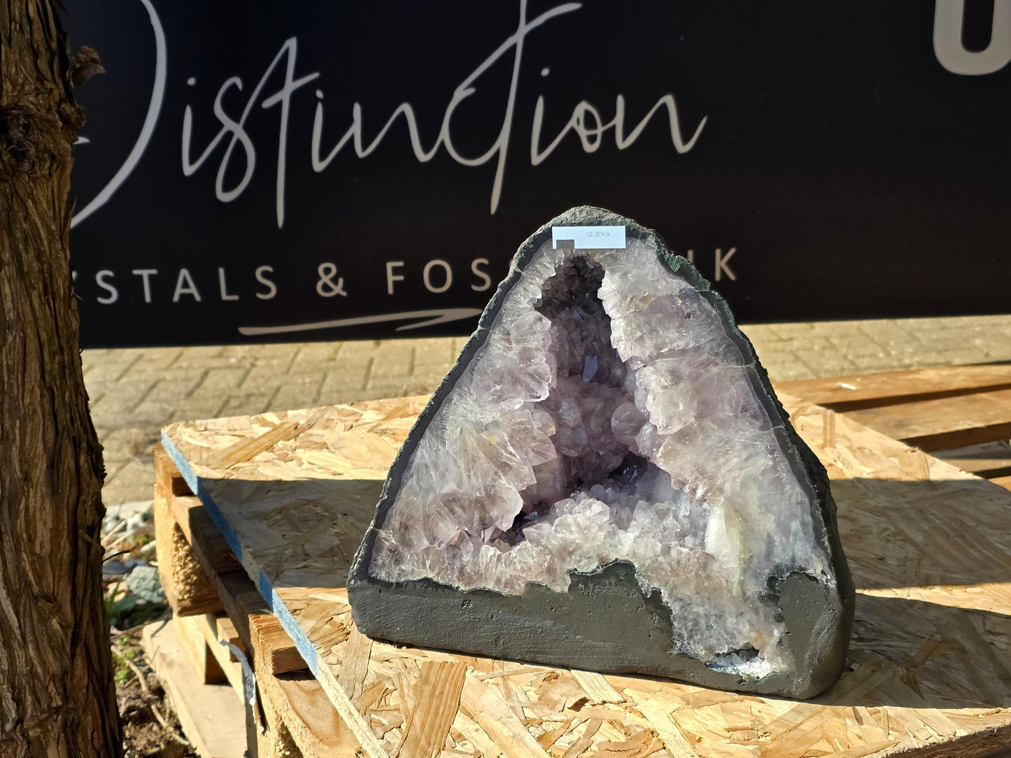 A striking Amethyst geode, perfect for room décor and display.
