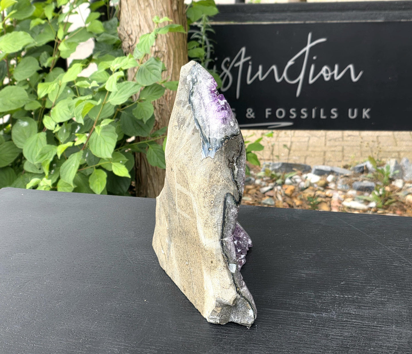 Collector’s Uruguayan Amethyst crystal