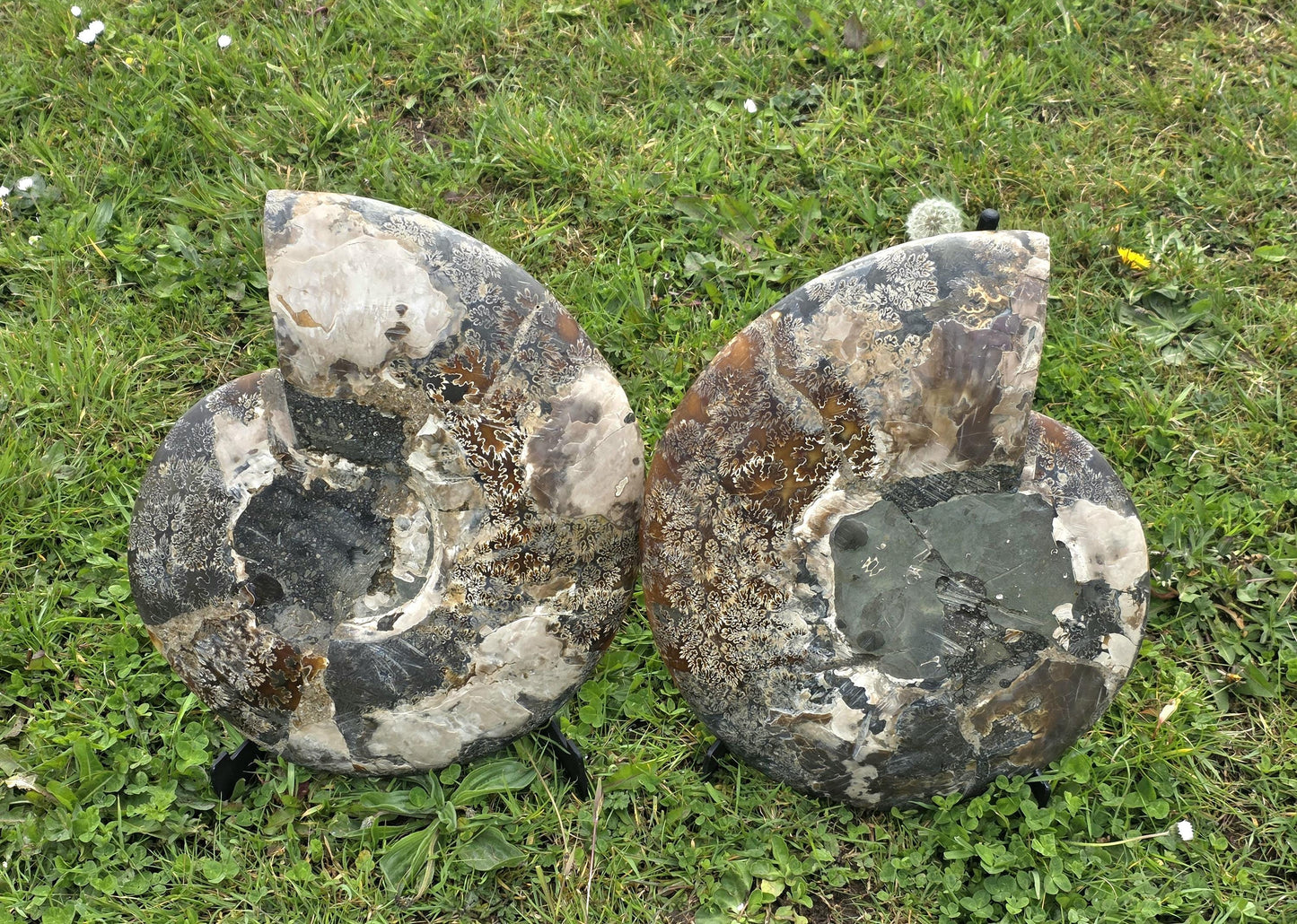 Geological statement piece with crystal formations