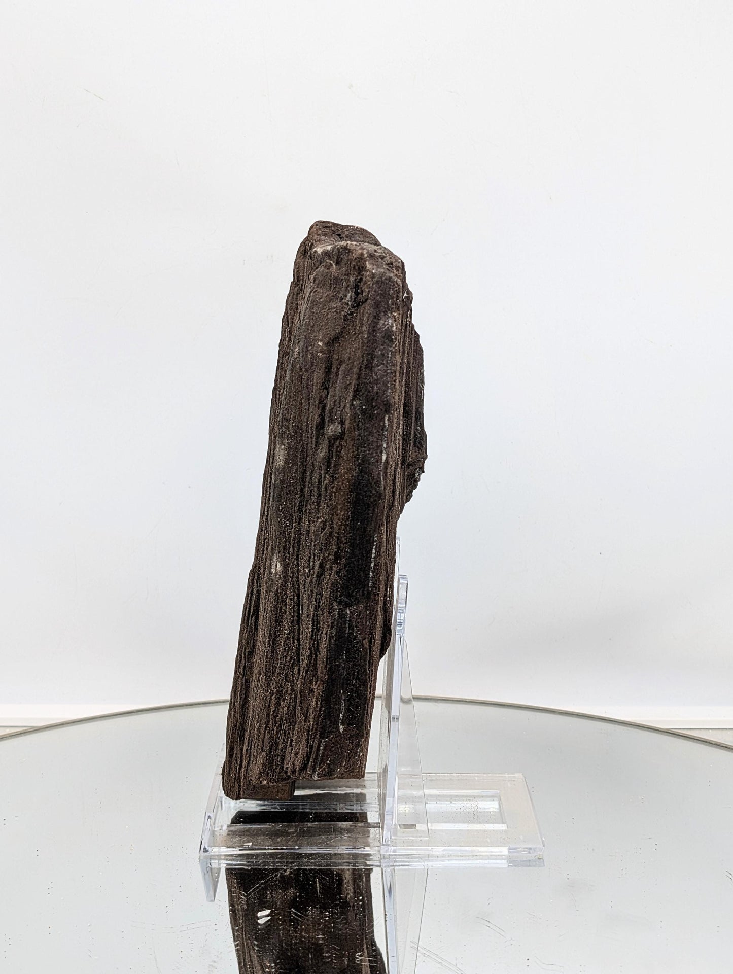 Ancient permineralized wood with quartz druzy