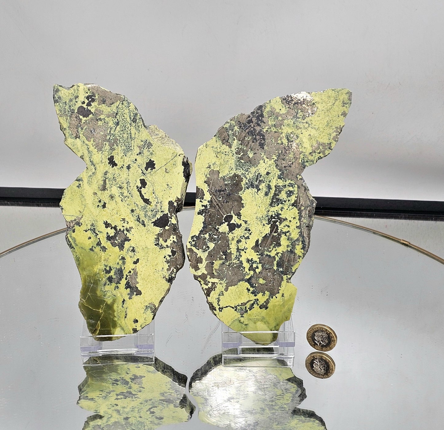Large polished Serpentine and Pyrite Wings crystal.