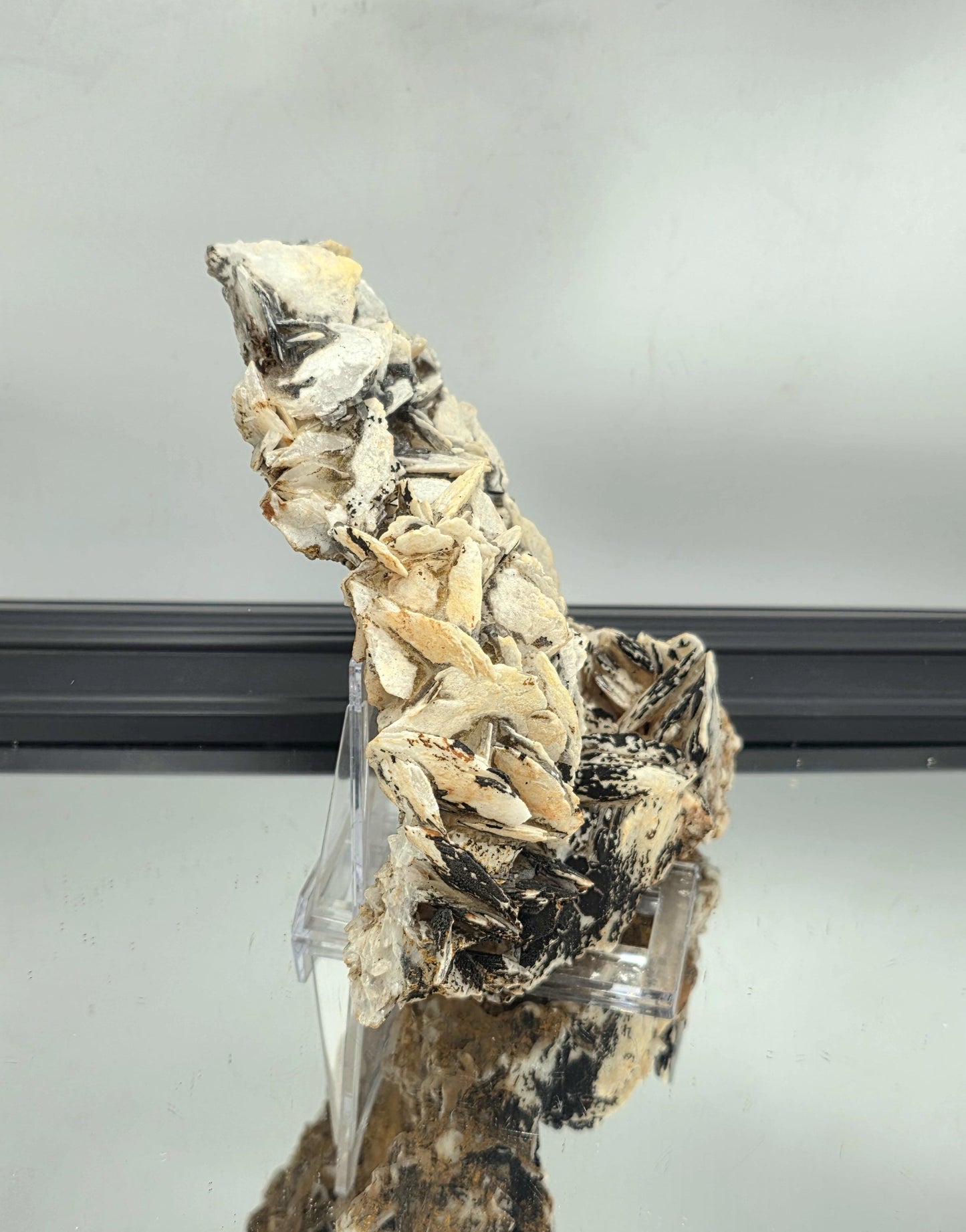crystal rosette of Black Rose Baryte with layered detail