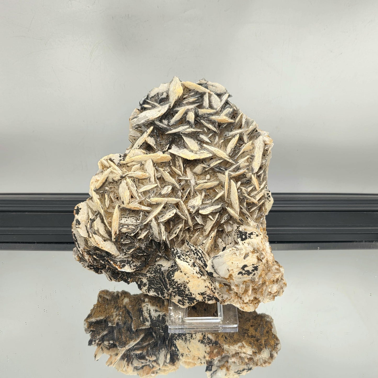 Black Baryte crystal shaped like a natural rose