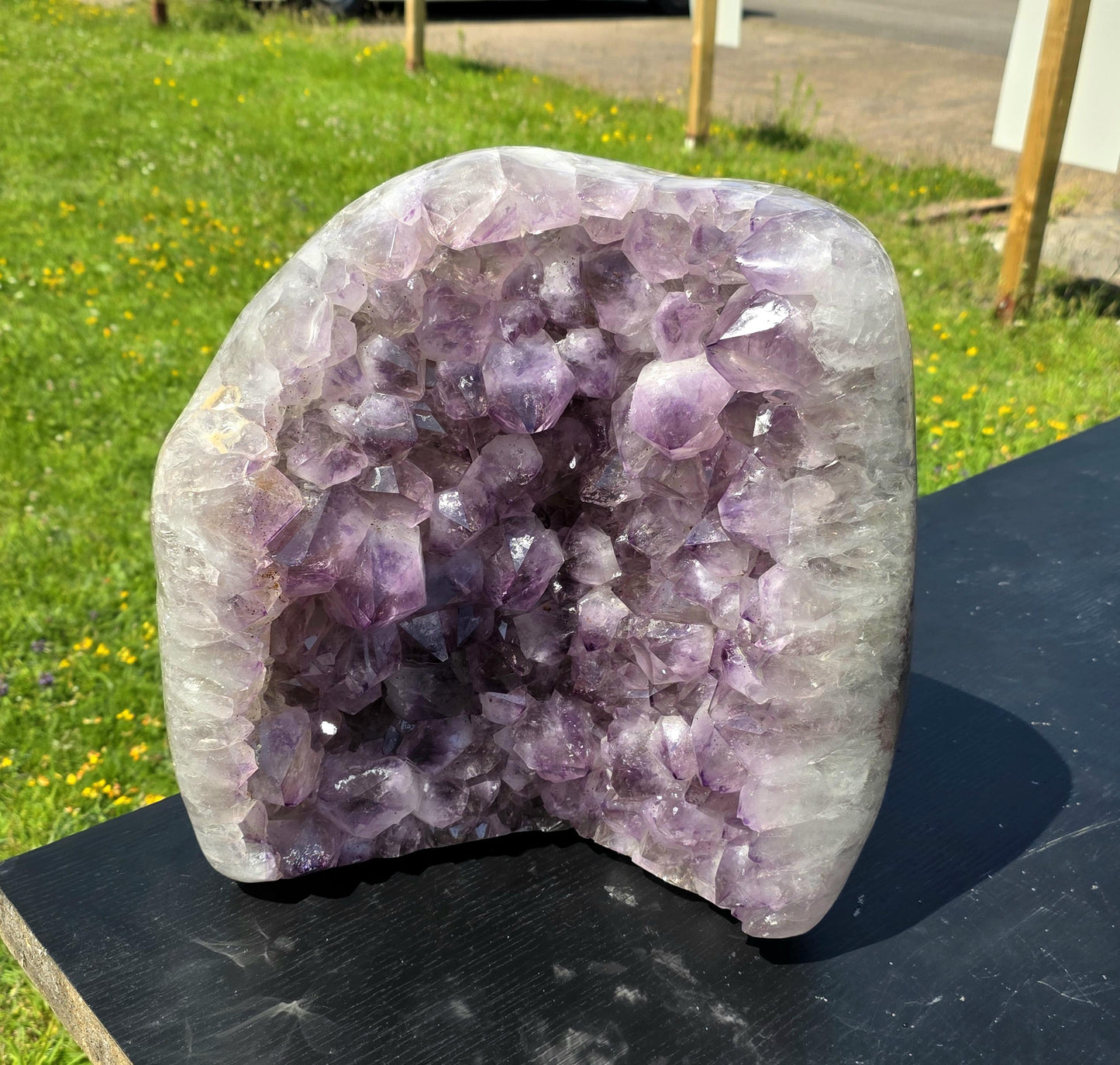 Striking polished Amethyst crystal cluster perfect for decor.