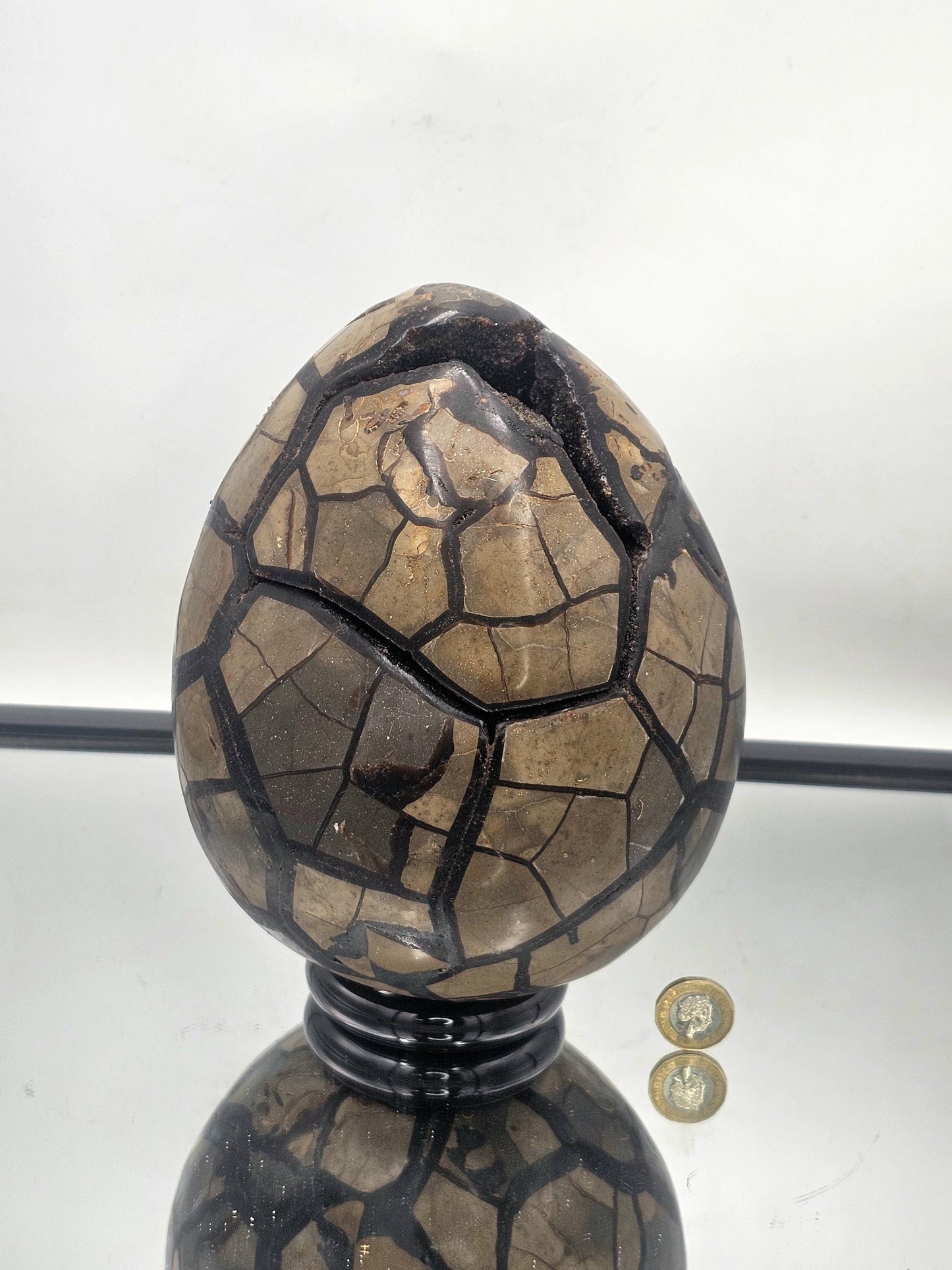 shop large septarian crystal egg