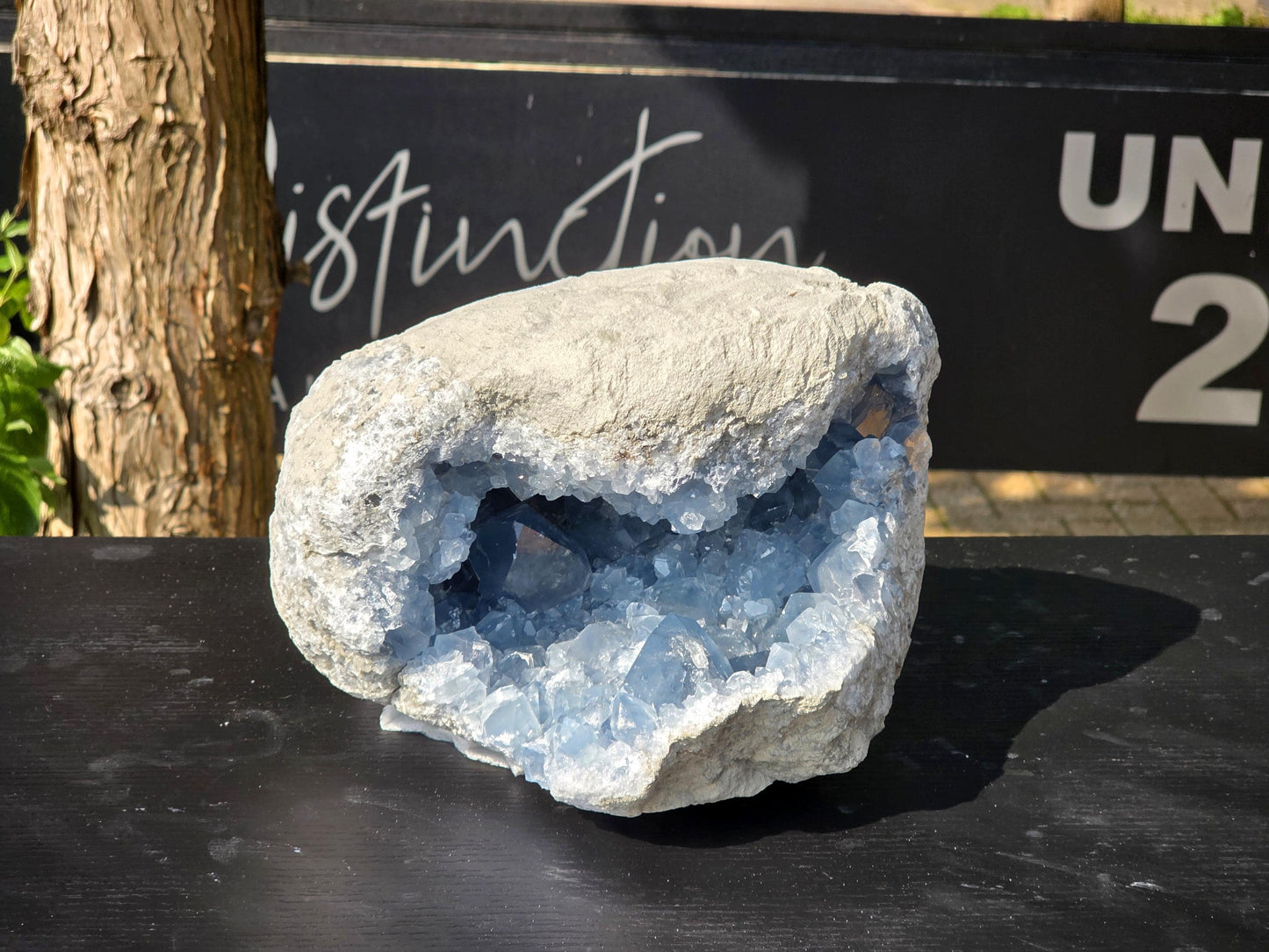Towering celestite geode filled with brilliant sky-blue crystals.