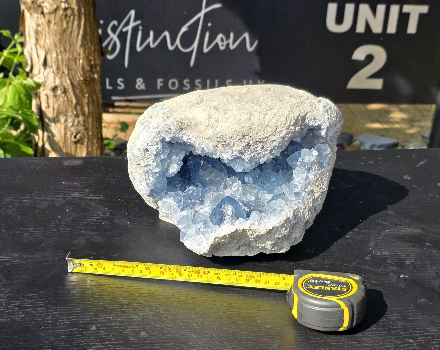 Celestite crystals with glassy surfaces and deep caverns.