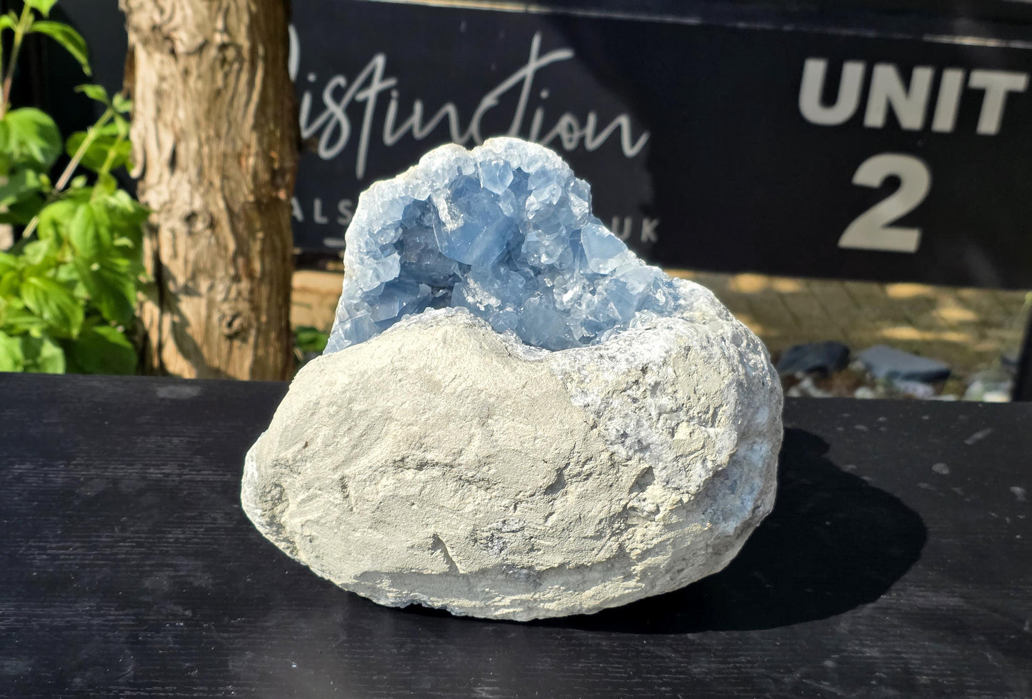Deep geode opening showcasing vibrant celestite crystal beds.
