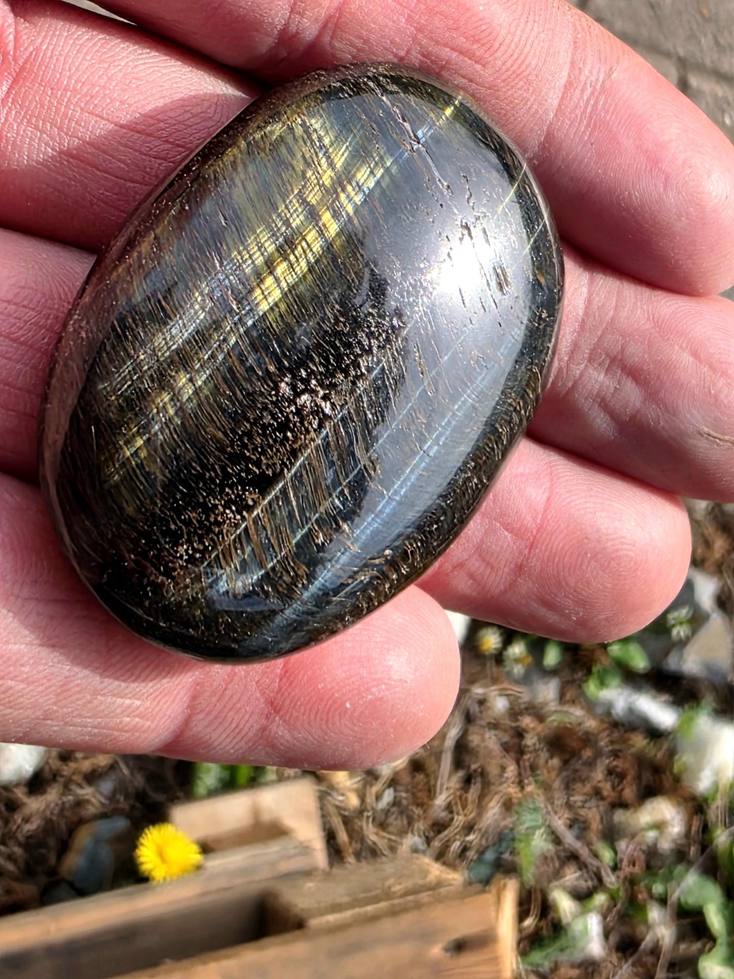 A chatoyant Tiger’s Eye stone ideal for keeping in-hand or in-pocket.