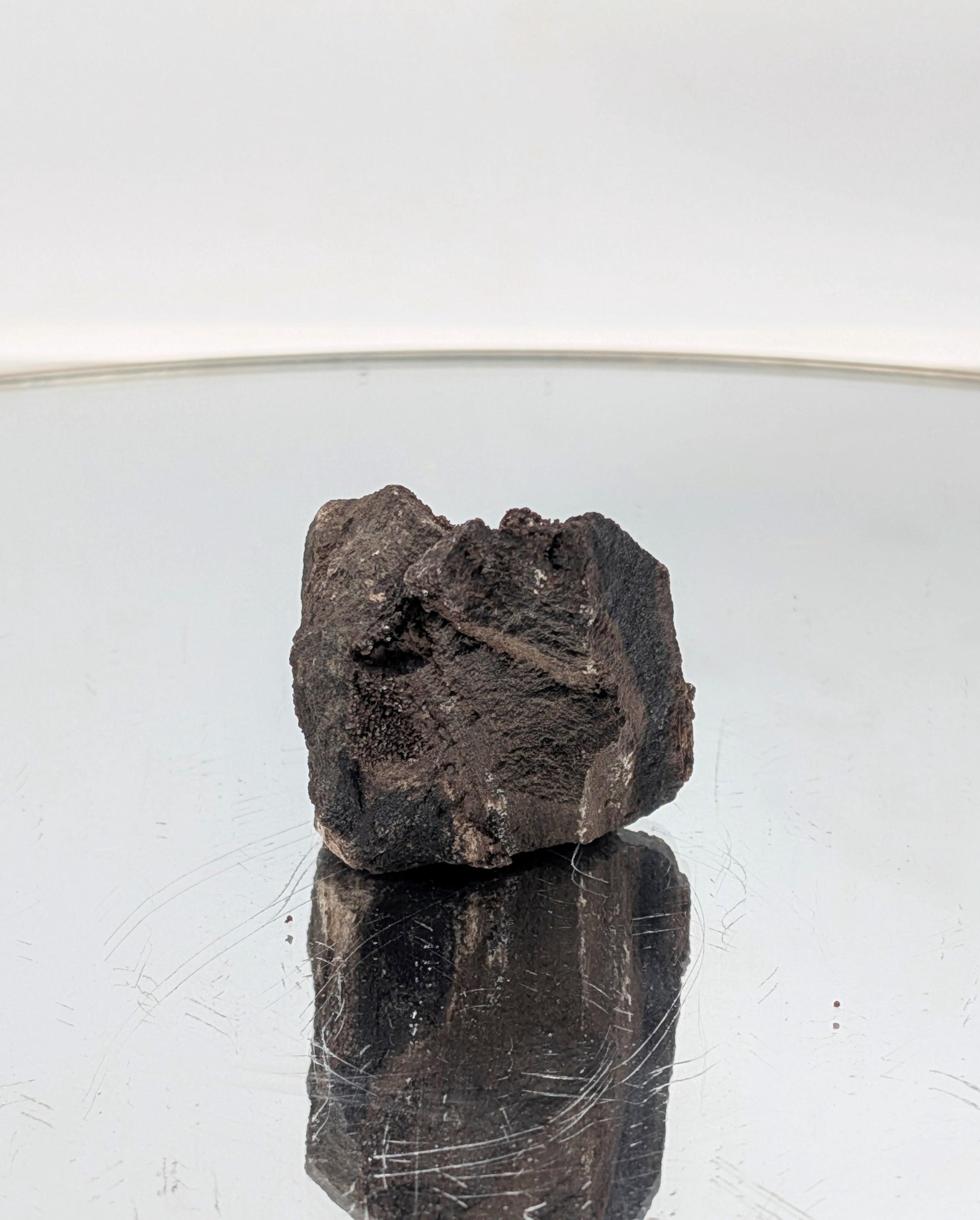 A unique collector’s piece—petrified wood with quartz druzy from a rare site.