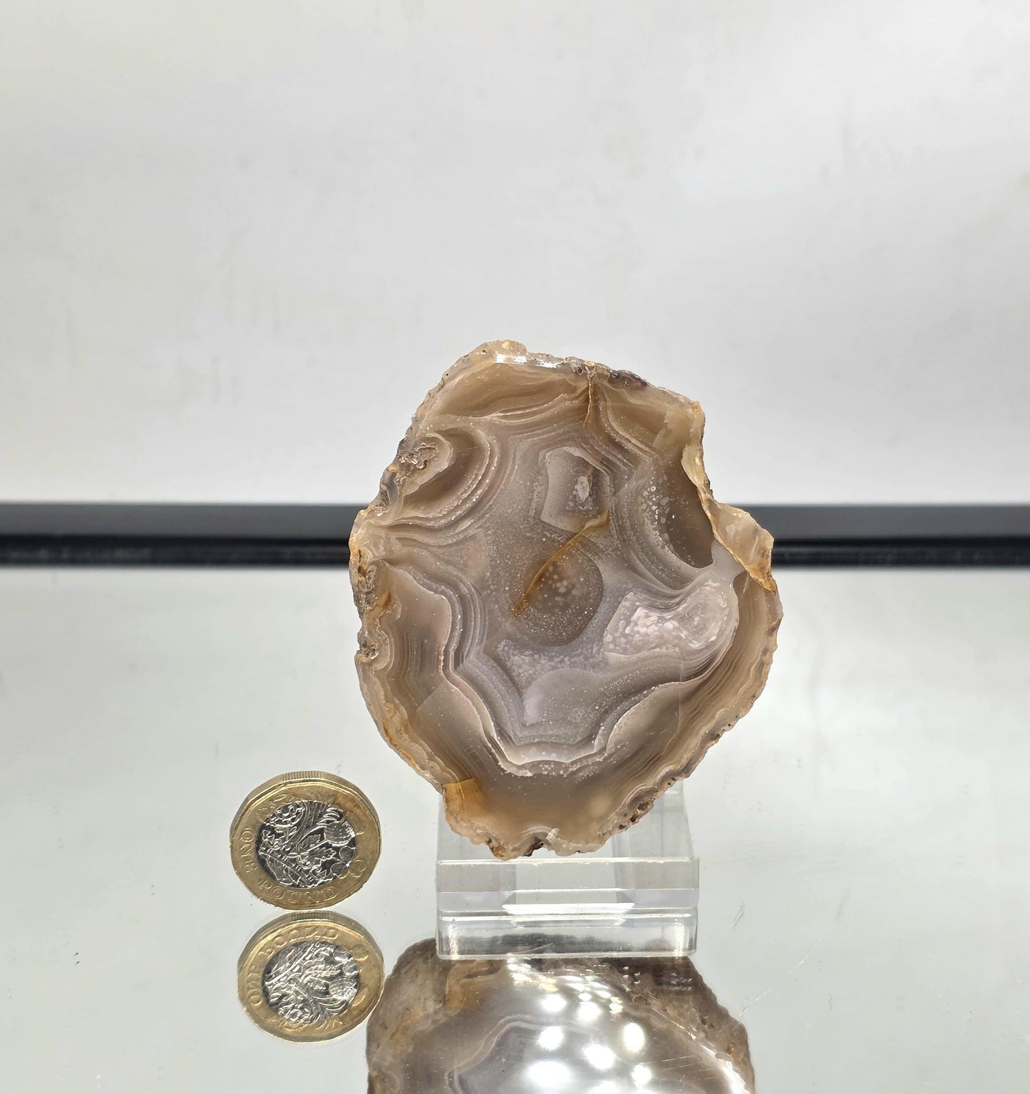 Collector’s polished Mexican Agate Geode with detailed designs.