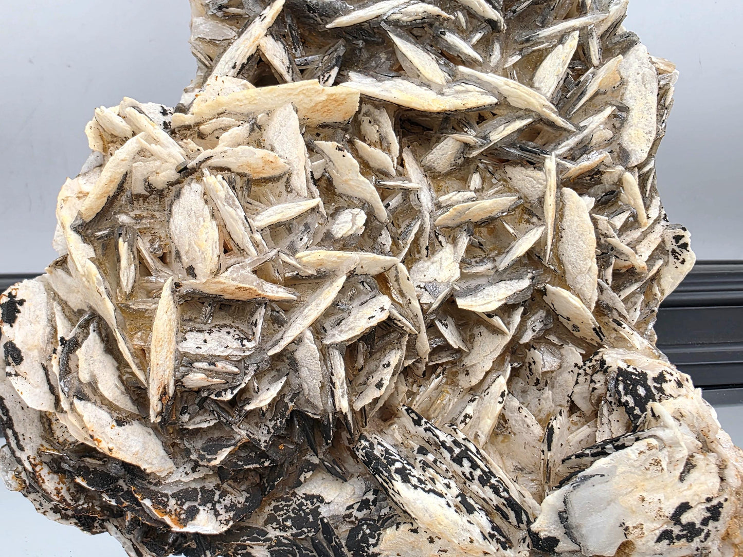 Black Rose Baryte used as a display stone