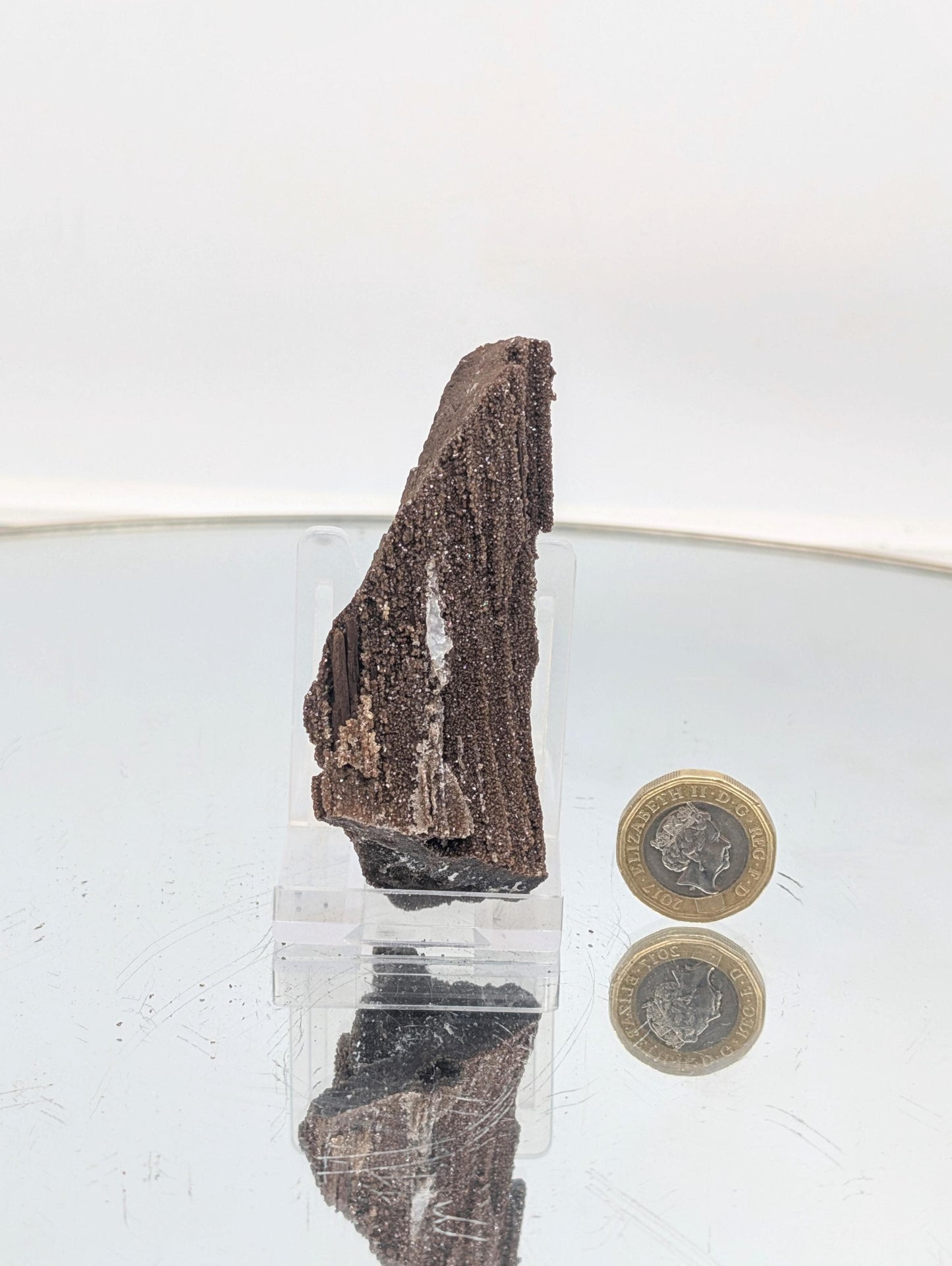 Decorative petrified wood with quartz druzy, perfect for cabinet specimen display