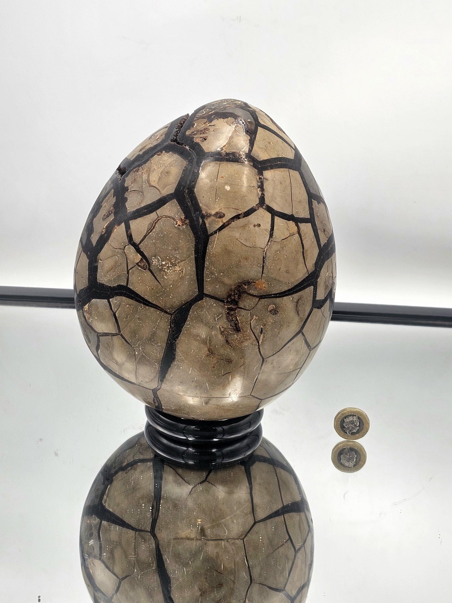 Stunning Septarian Crystal Egg, also known as Dragon Stone, with grounding energy.