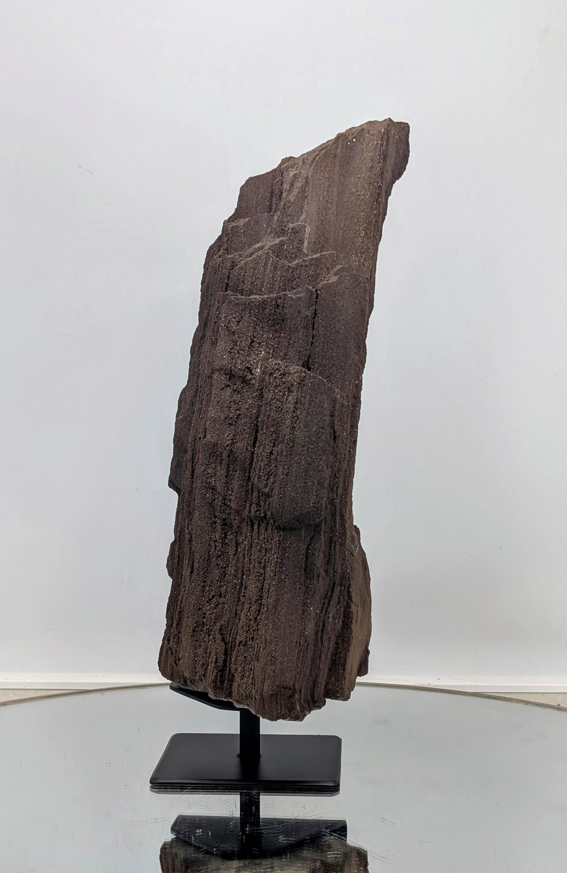 A designer interior decor piece—natural petrified wood with quartz druzy.