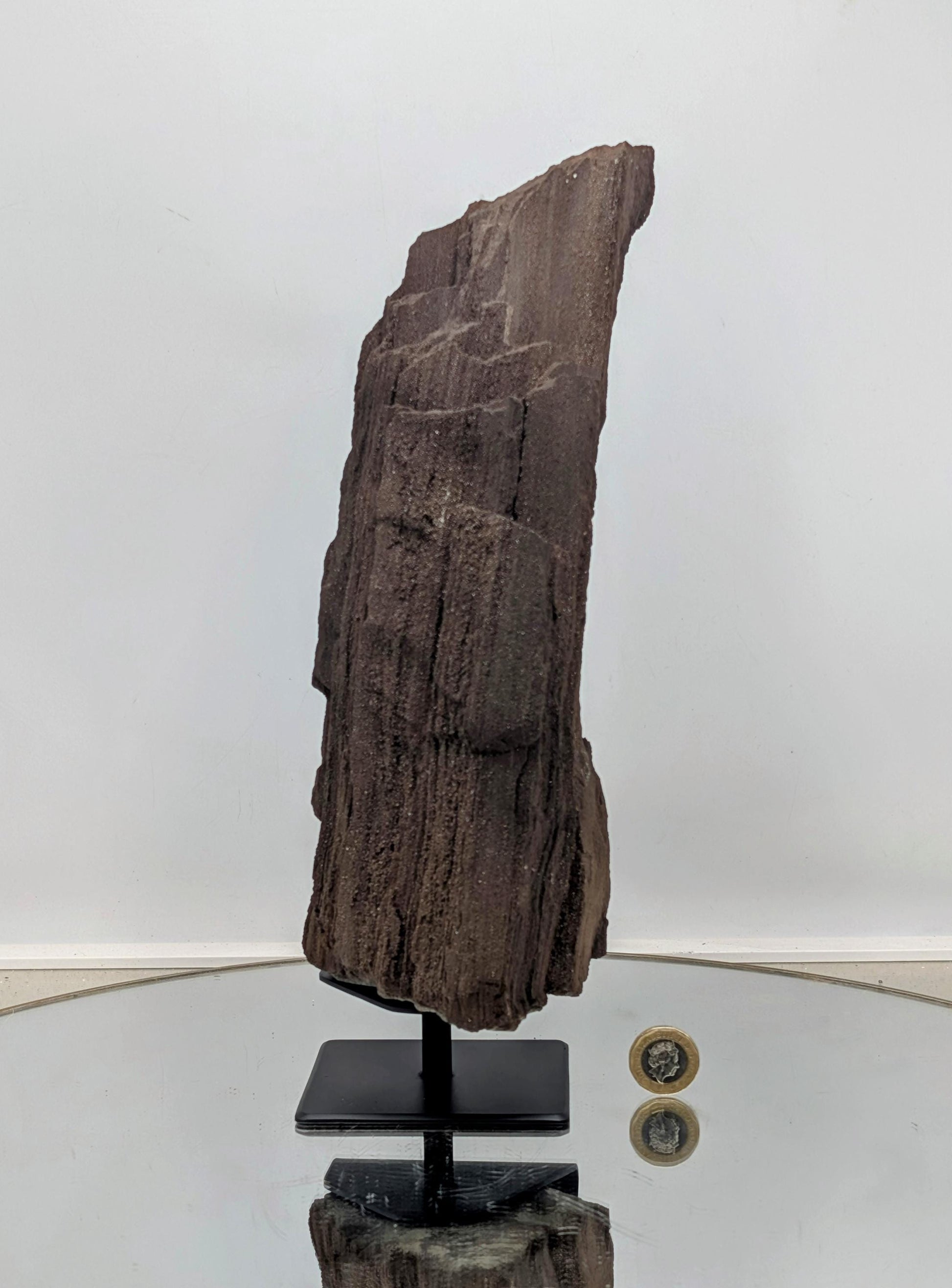 An exquisite geological find—petrified wood with quartz druzy.