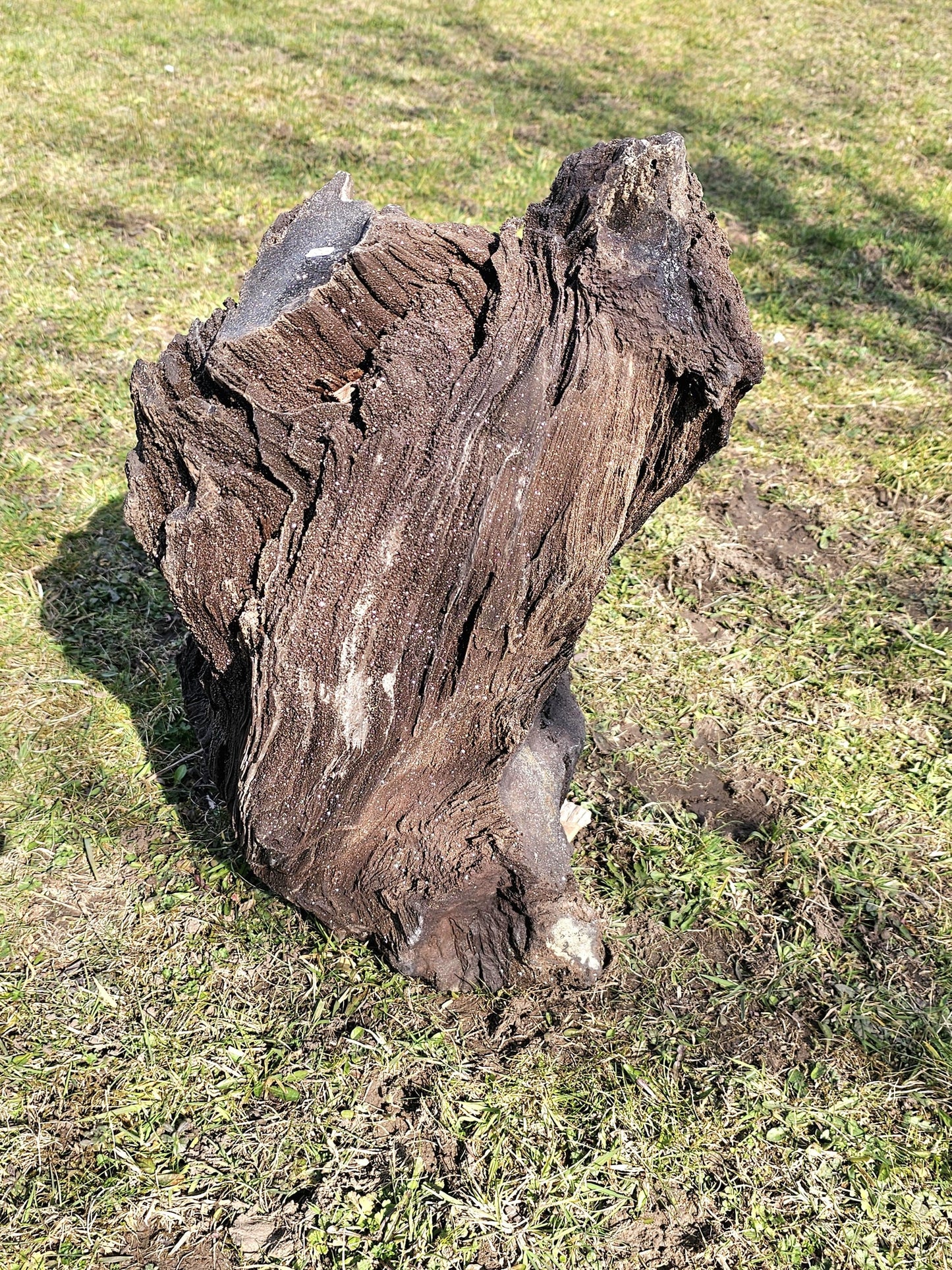 Exceptionally high-quality petrified wood with quartz druzy, weighing 50kg.