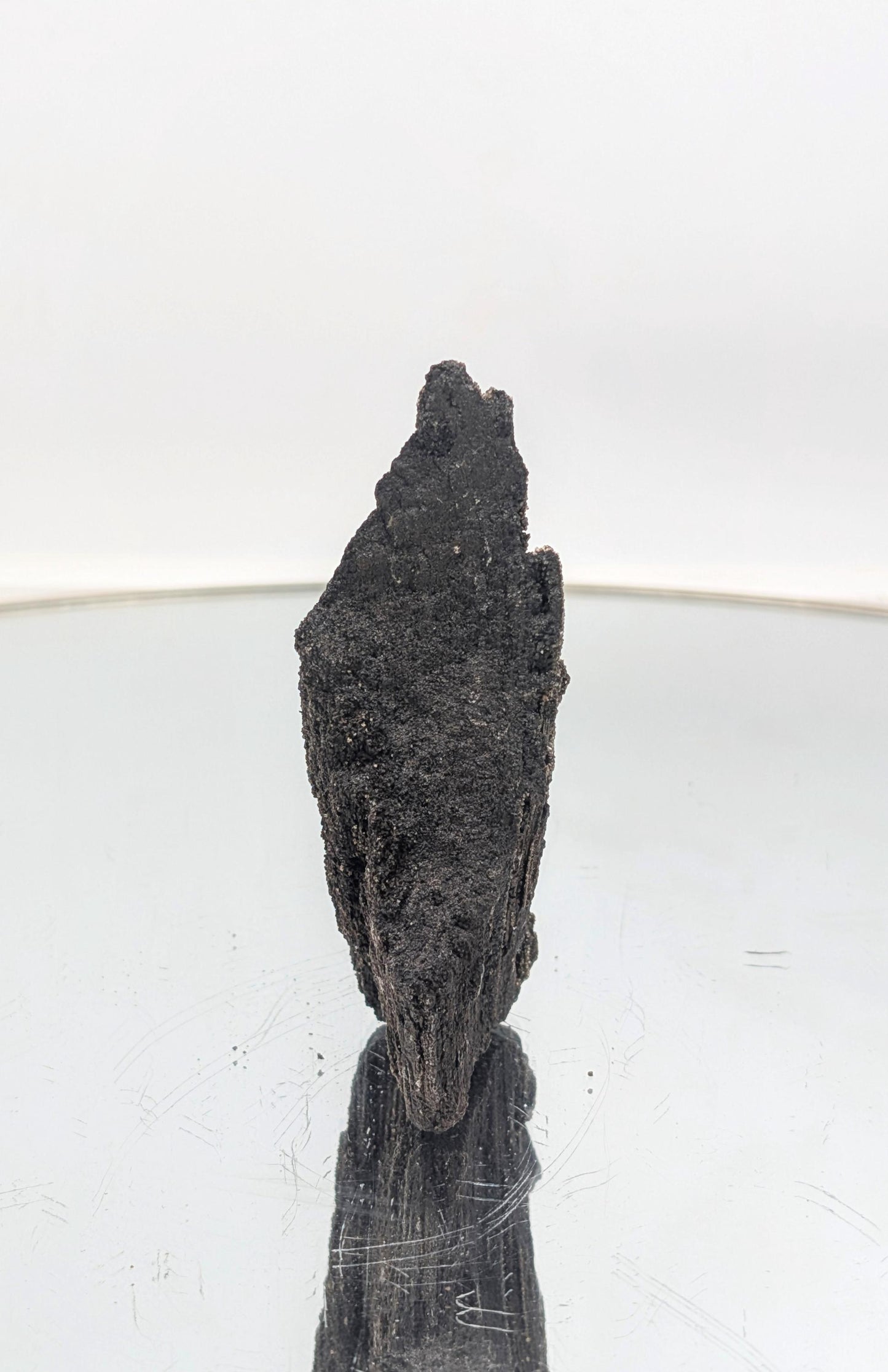 Exclusive petrified wood with quartz druzy, a rare geological treasure.