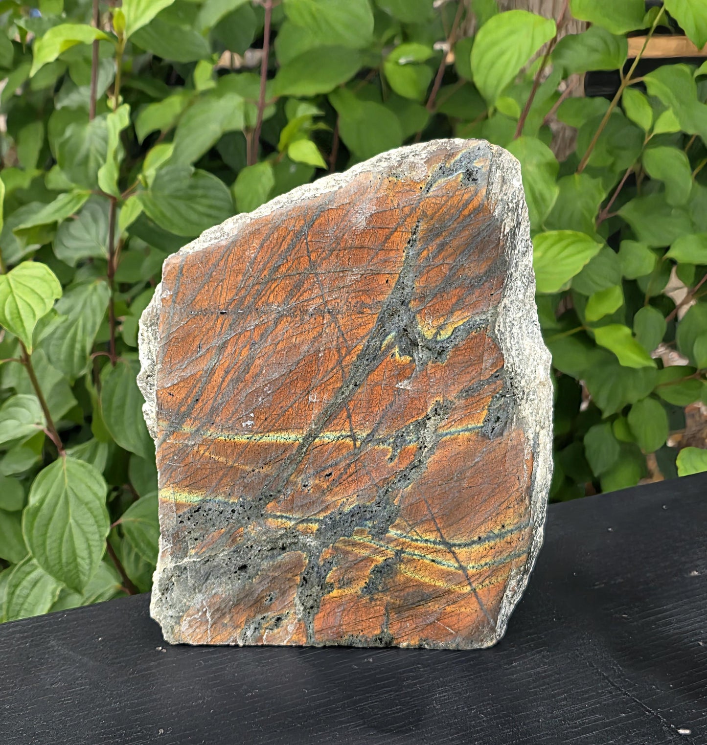 Fiery sunset labradorite crystal with golden and orange iridescence.