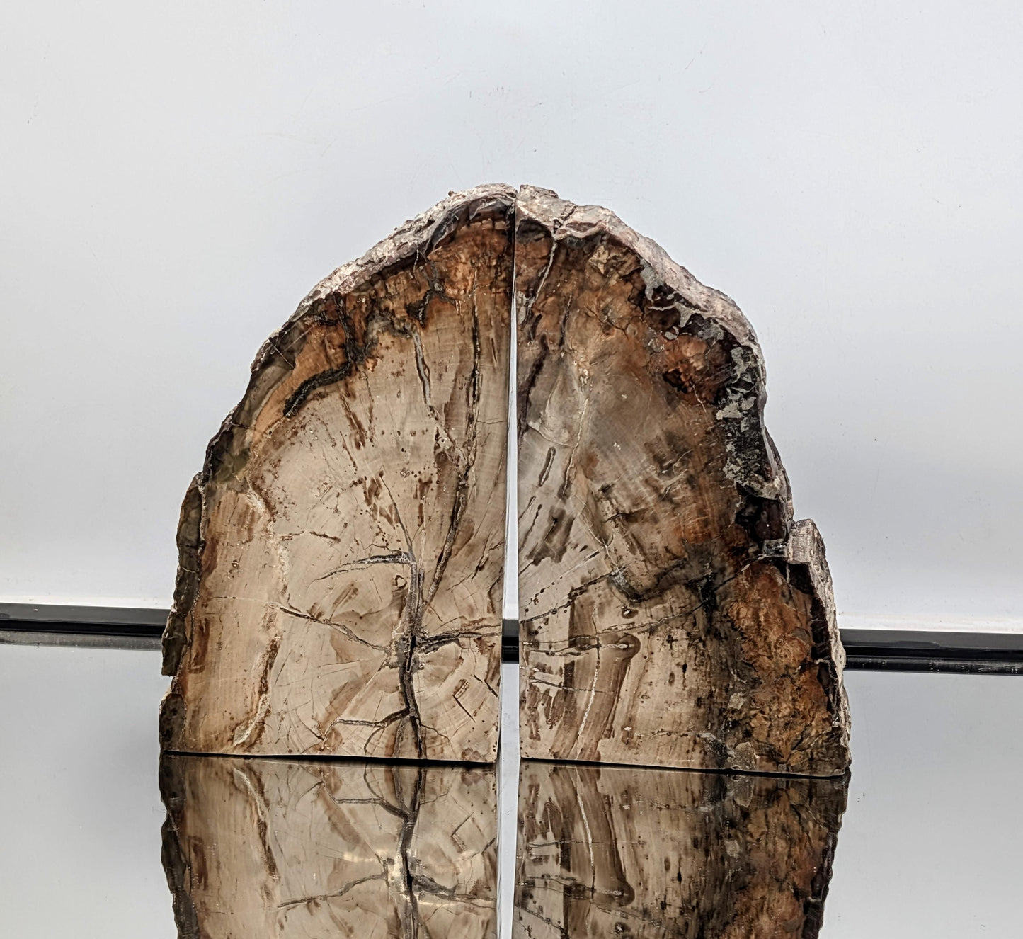 Polished fossil wood bookends made from natural petrified wood.