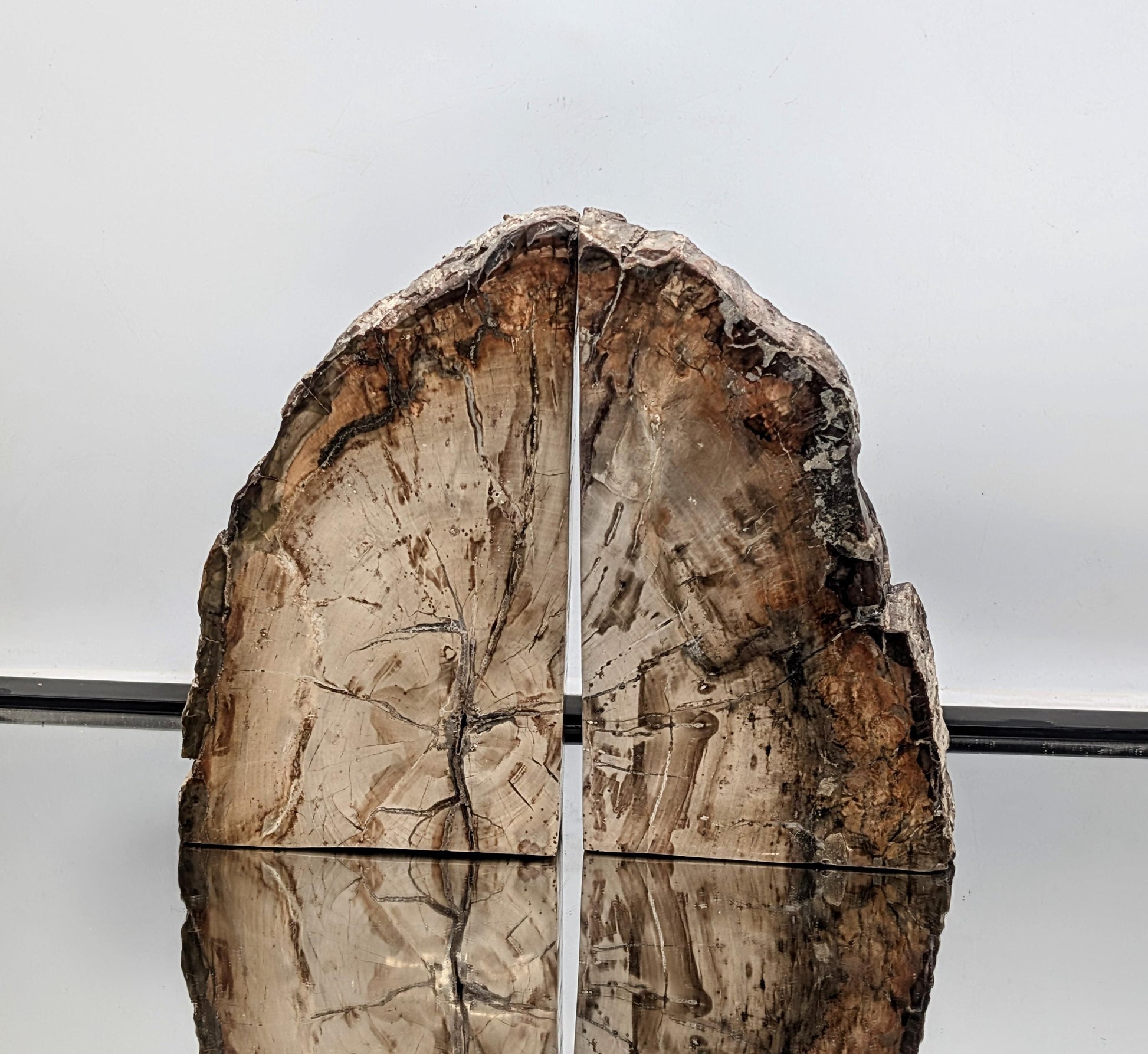 Polished fossil wood bookends made from natural petrified wood.