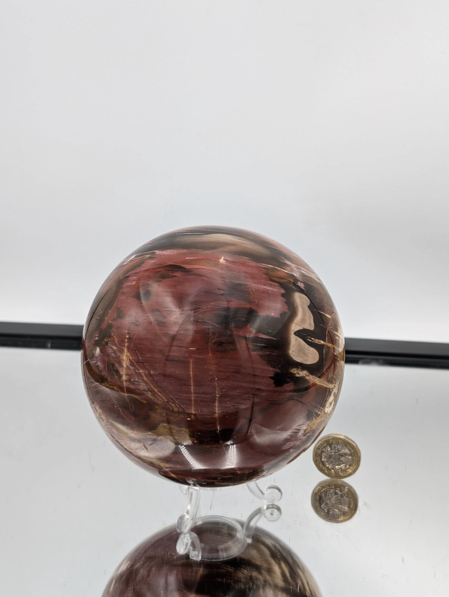 ossil Wood sphere featuring natural Quartz inclusions