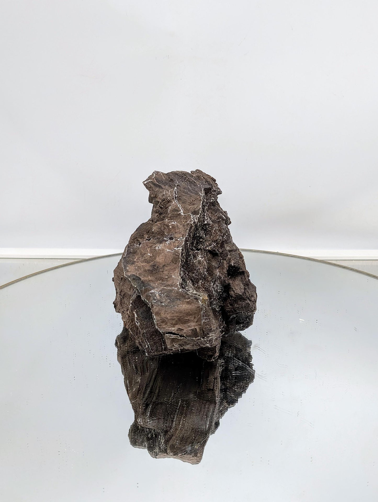 Fossilized wood with mineralized quartz druze