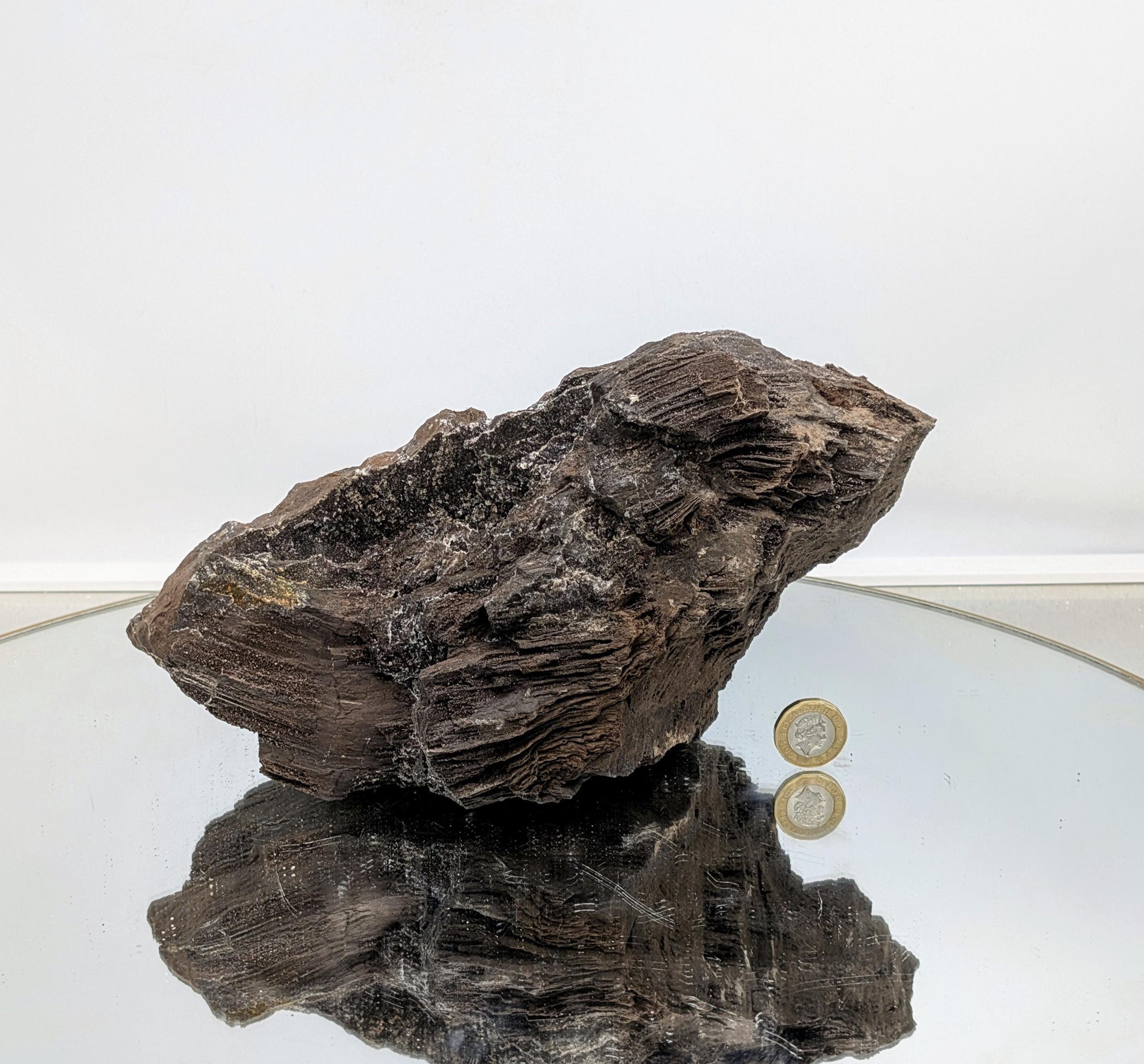 Fossil wood with quartz druze crystal formations