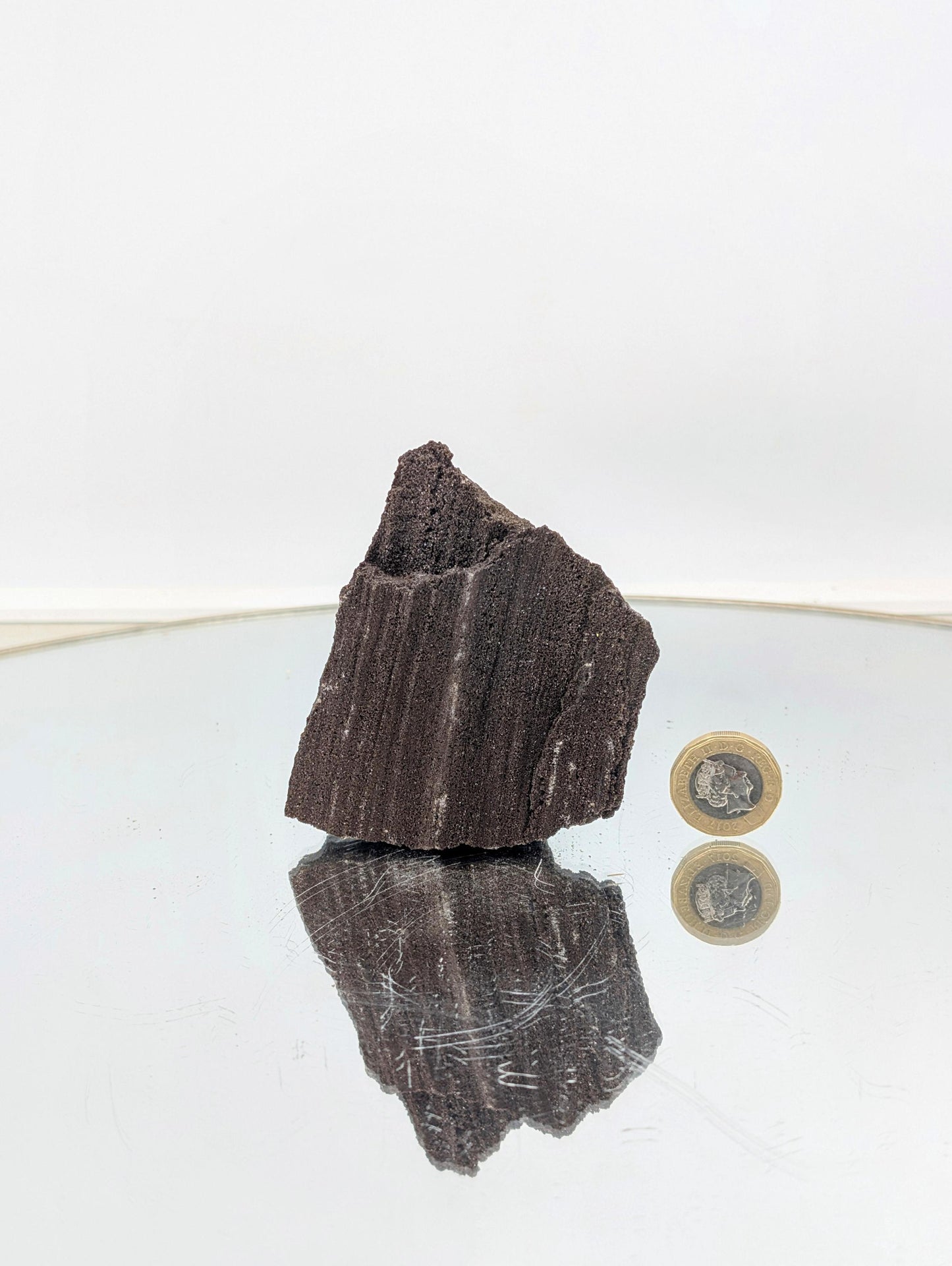 natural crystal wonder—petrified wood covered in quartz druzy.