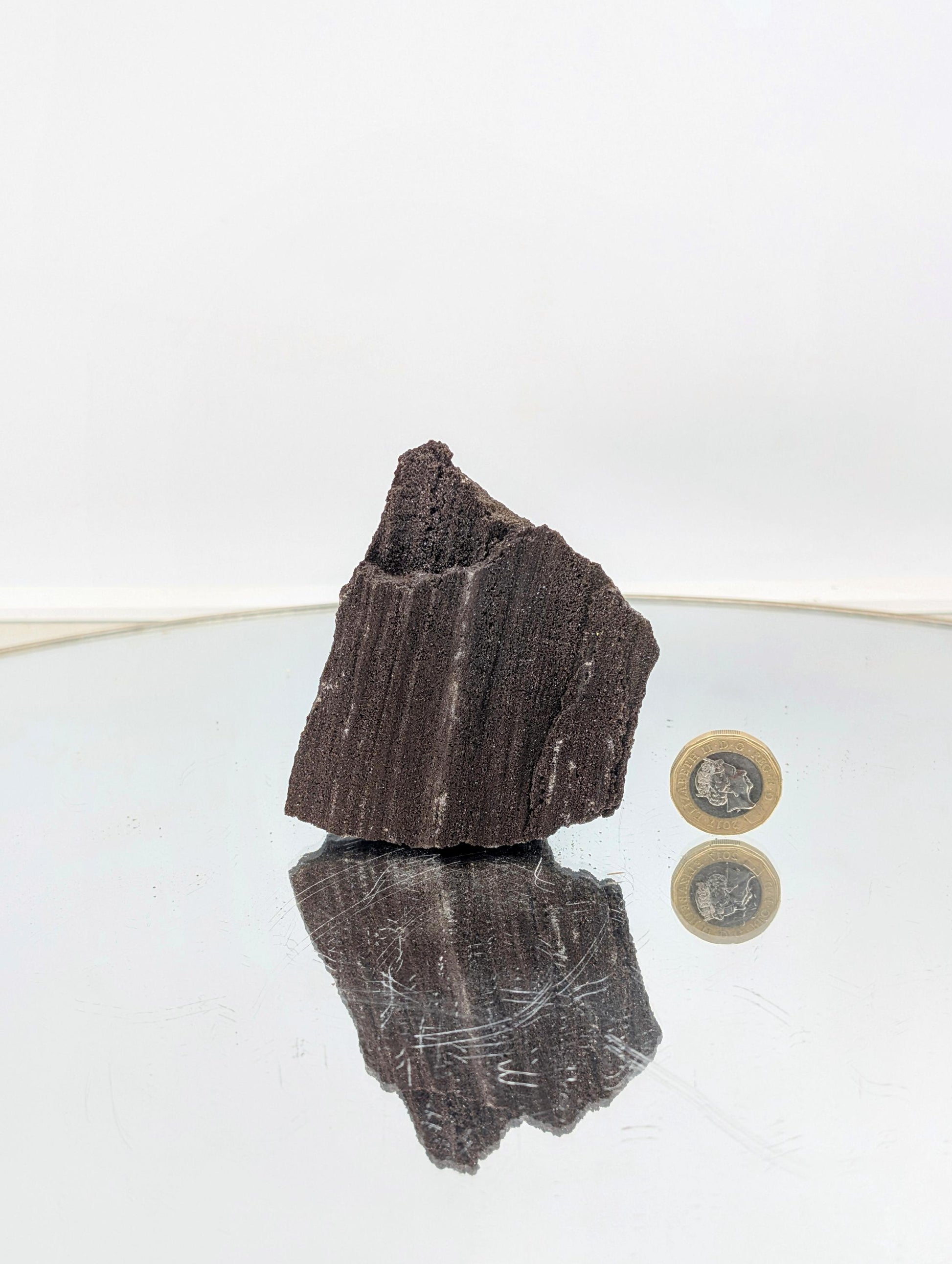 natural crystal wonder—petrified wood covered in quartz druzy.