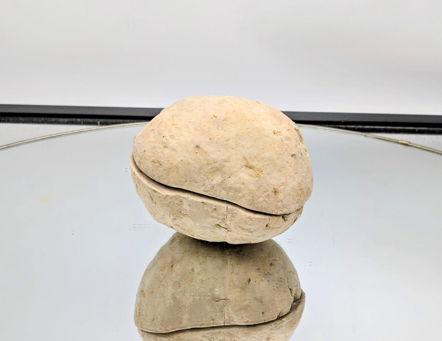 Fossilized Septarian Geode featuring crystal veins.