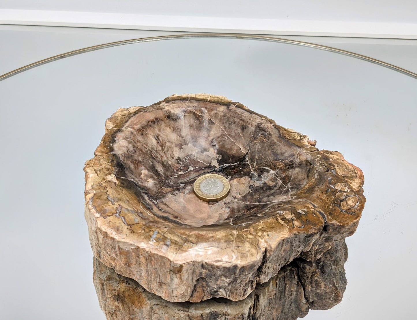 Fossilized wood bowl ideal for rustic home décor