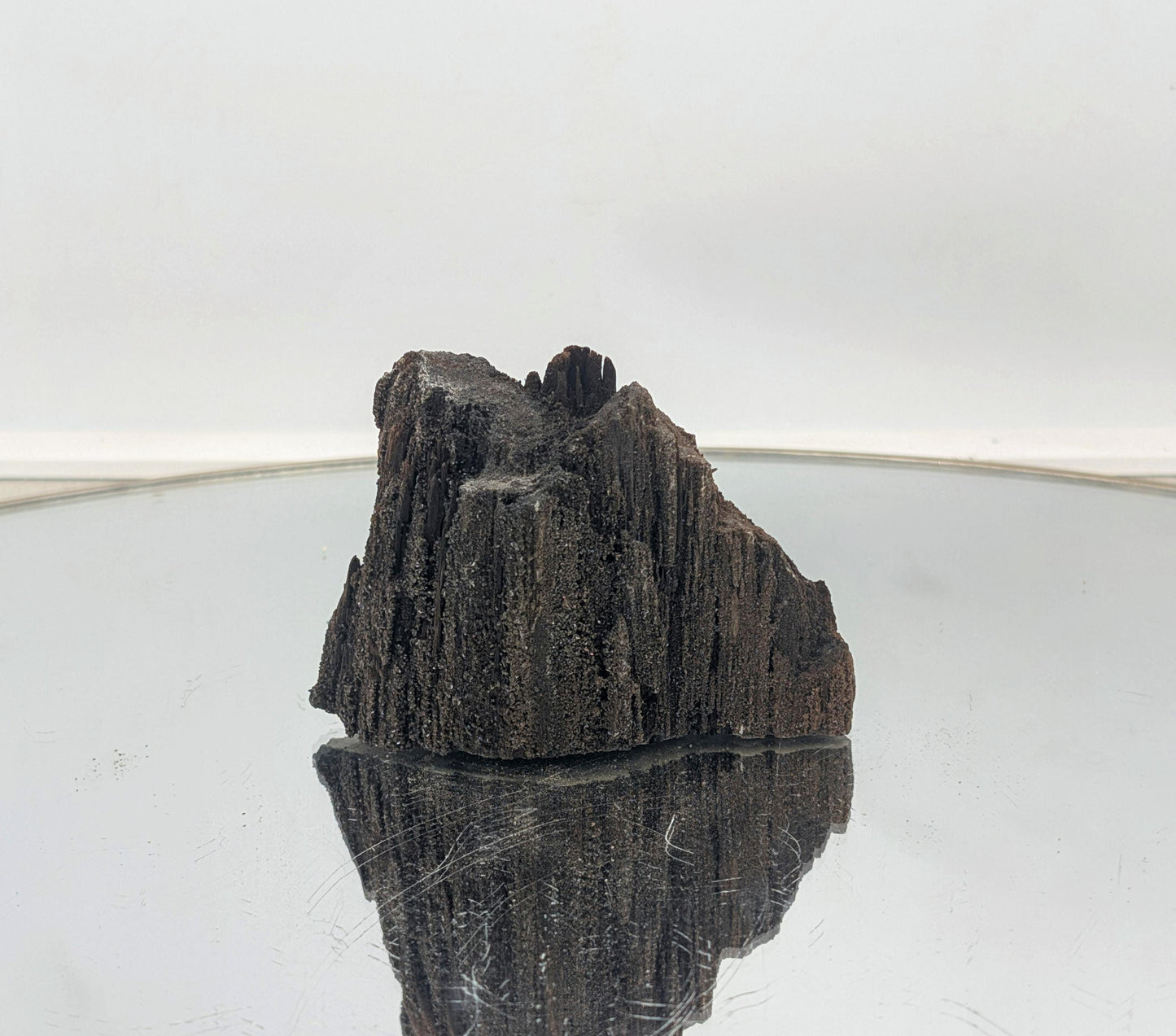 Fossilized wood with quartz druzy crystals, a unique decor piece.