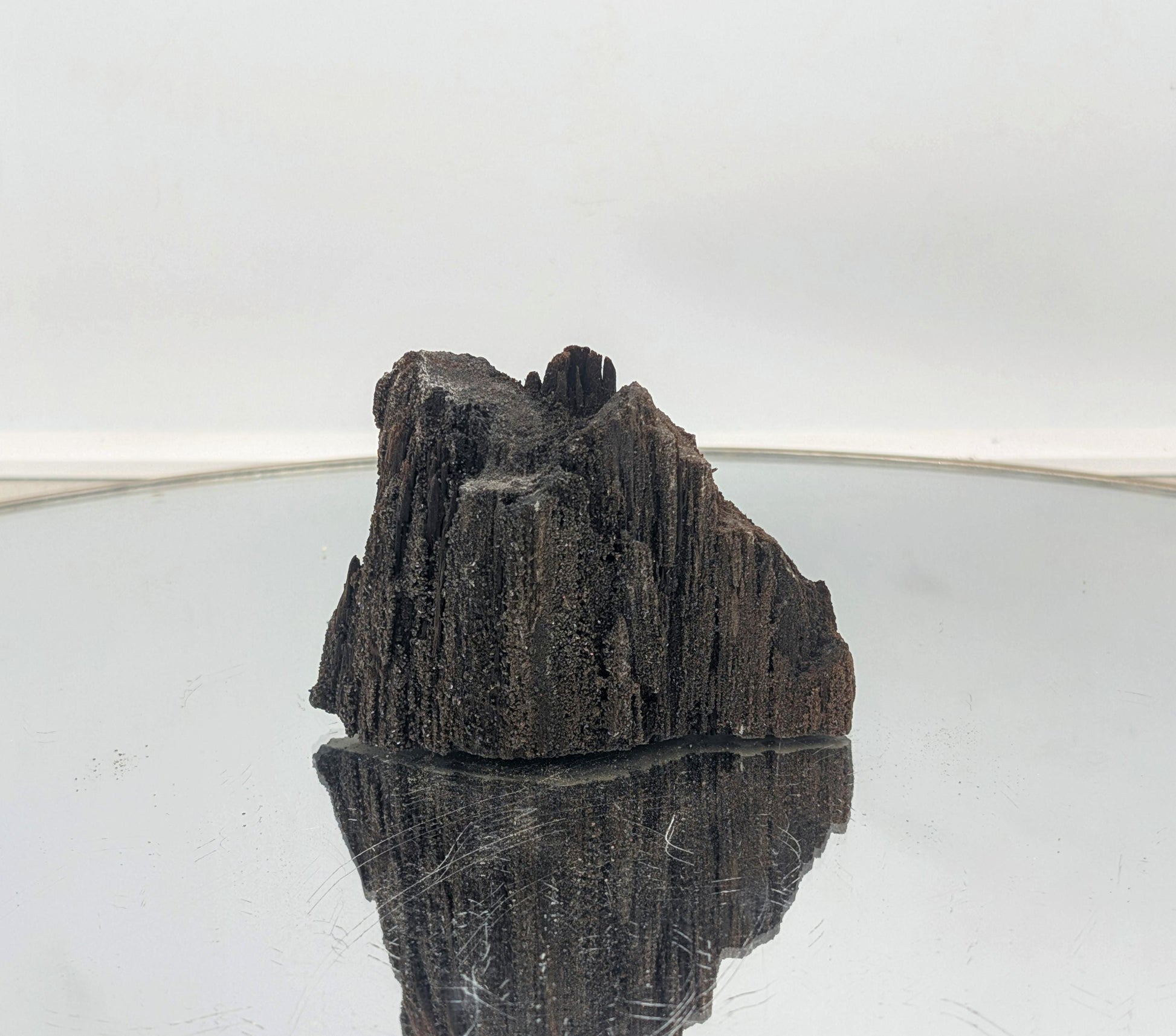 Fossilized wood with quartz druzy crystals, a unique decor piece.