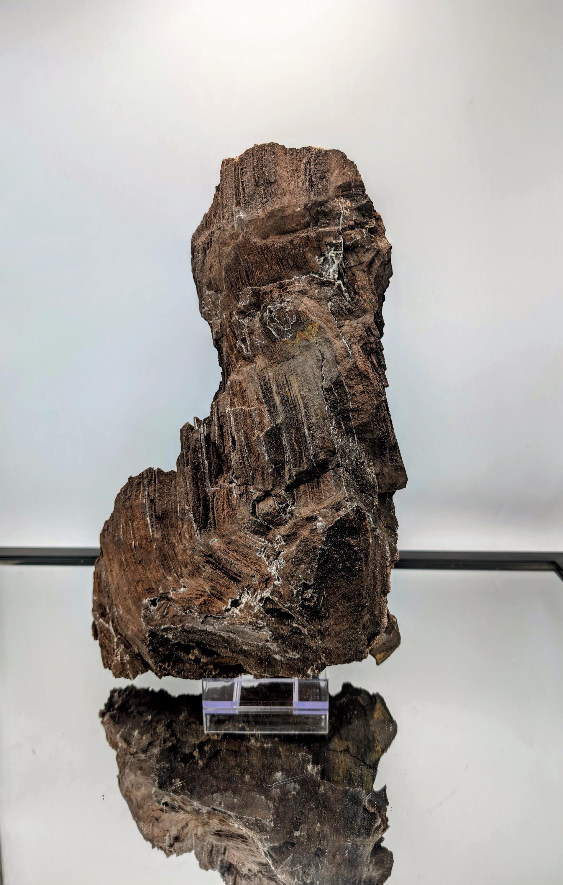 Gemstone display of quartz druzy on petrified wood from Germany.